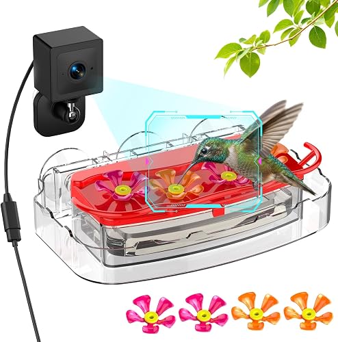 freeseason 2K Window Hummingbird Feeder Camera