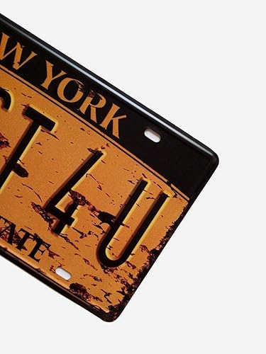 Miniatura 3 de ERLOOD New York 2FAST4U, Empire State, Estados Unidos, retro, vintage, placa de matrícula de automóvil, letrero de hojalata en relieve, tamaño de