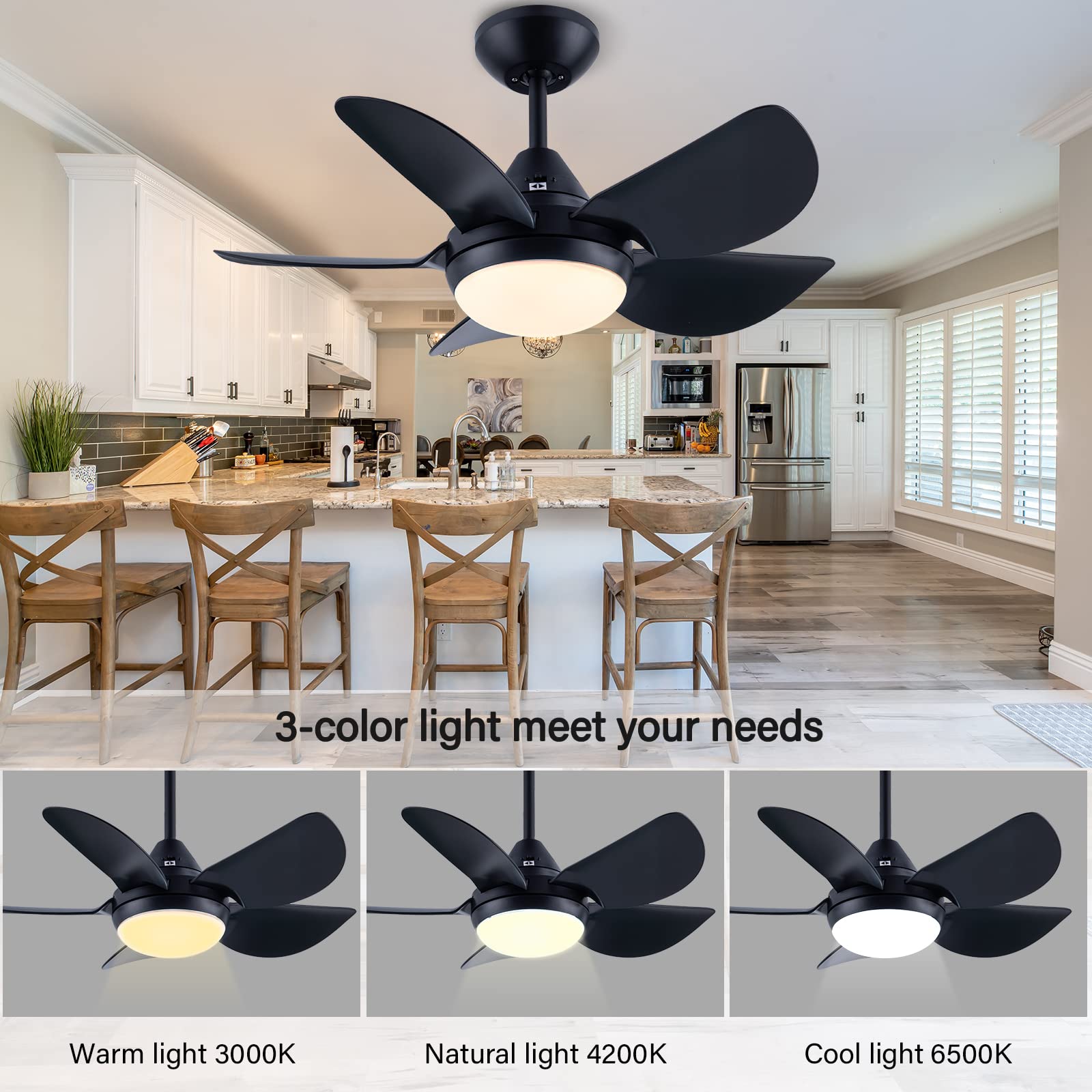 CJOY Ceiling Fan with Lights for Living Room, 30'' Small Modern Ceiling Fan with 5 Reversible Blades, Remote Controls, Adjustable Color Temperature, for Indoor/Outdoor, Black