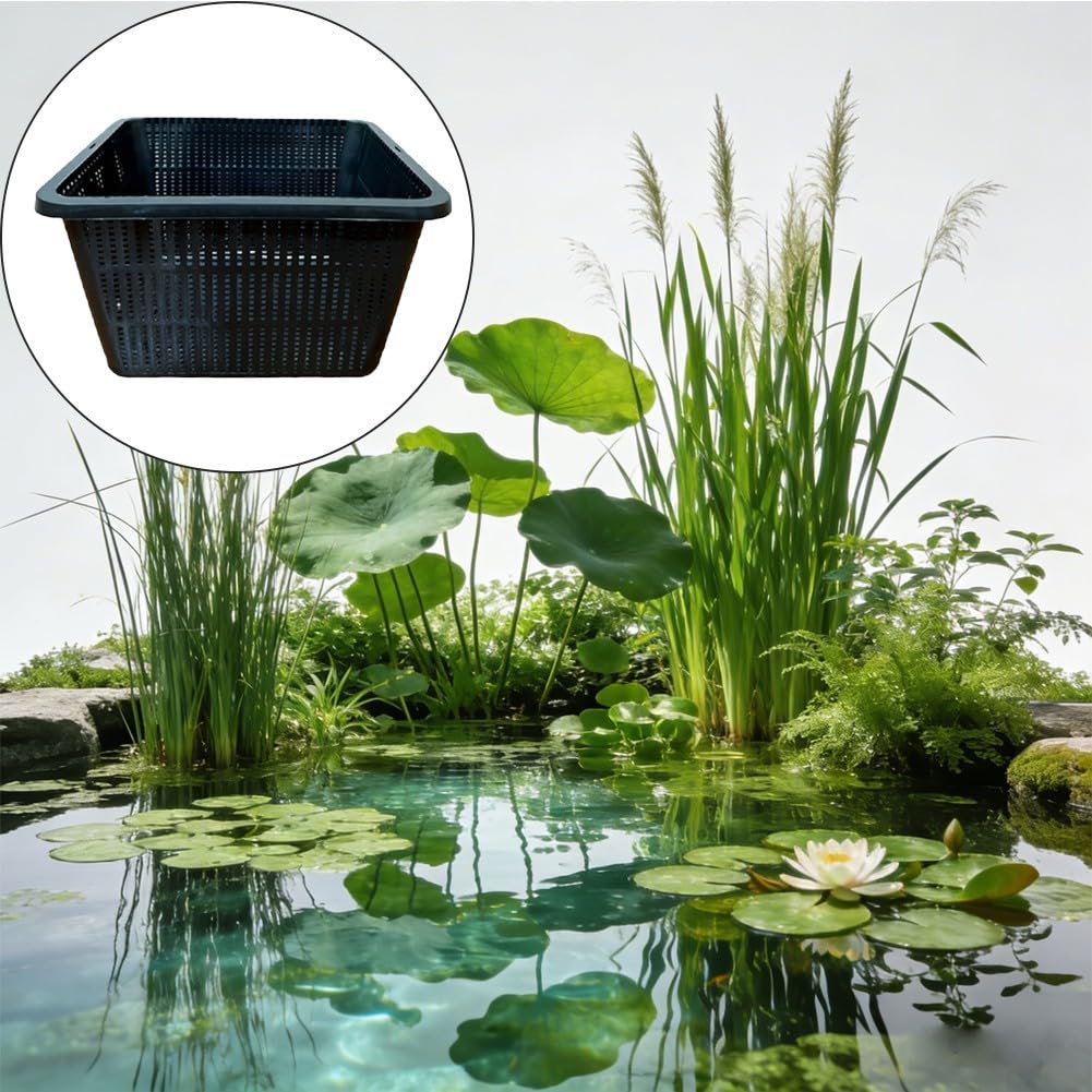 Cestino per piante acquatiche, grande rete idroponica da giardino, 22,822,813,2 cm, cestino per piante acquatiche, laghetti, acquari, verdure, contenitore per la coltivazione di verdure (2 pezzi)