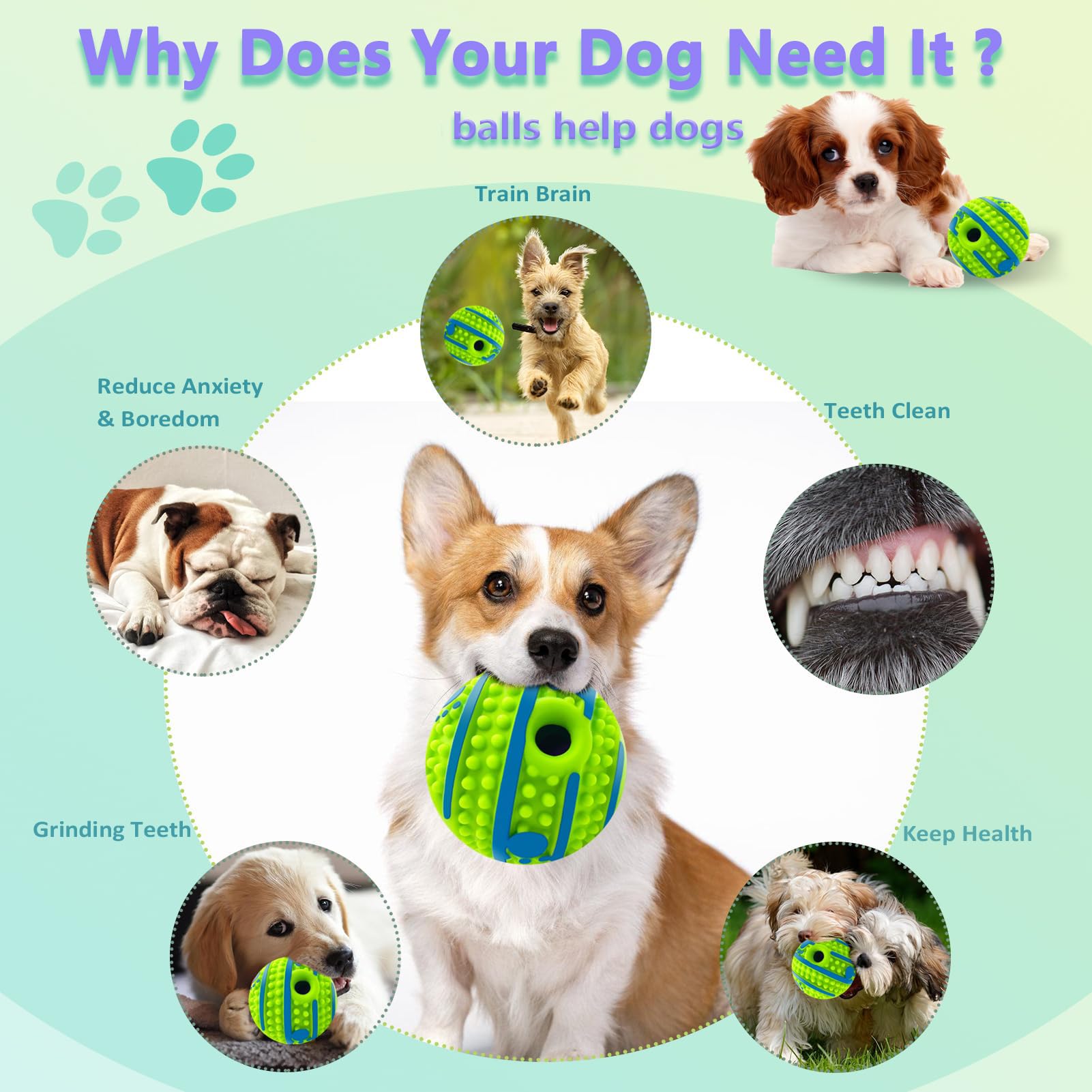 TAUCHGOE Interactive Toys for Dog 3.46" Squeaky Ball for Dogs Interactive Dog Toys Squeaky Balls for Dogs for Exercise & Training - Image 4