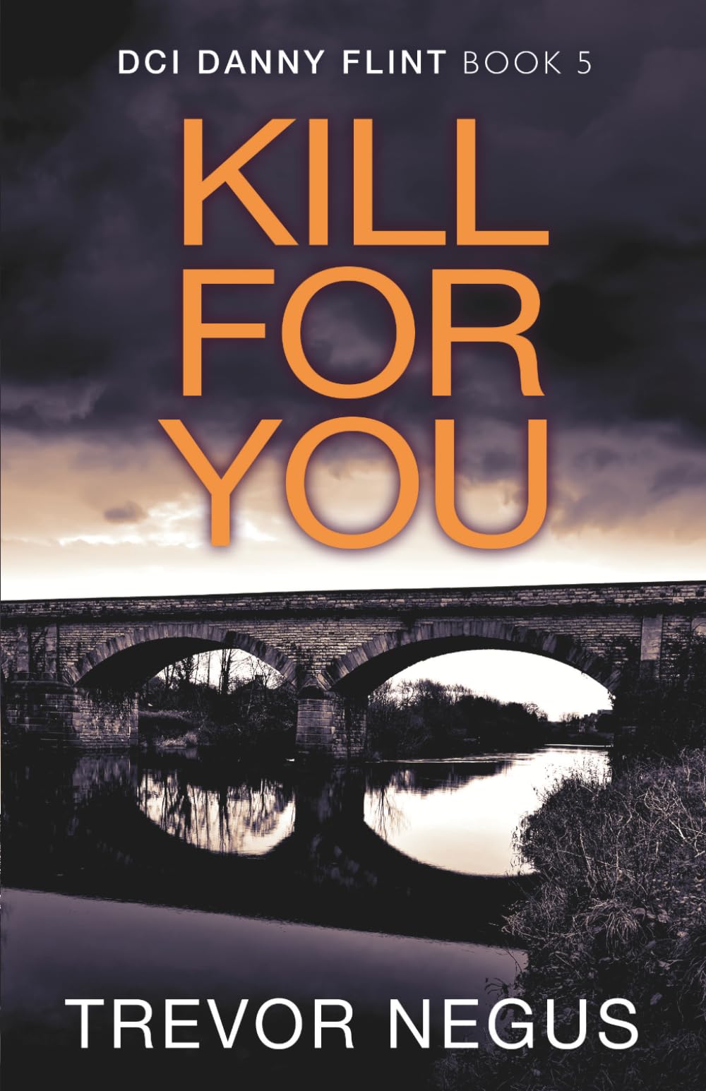 Kill For You: A gripping serial killer thriller (DCI Danny Flint)