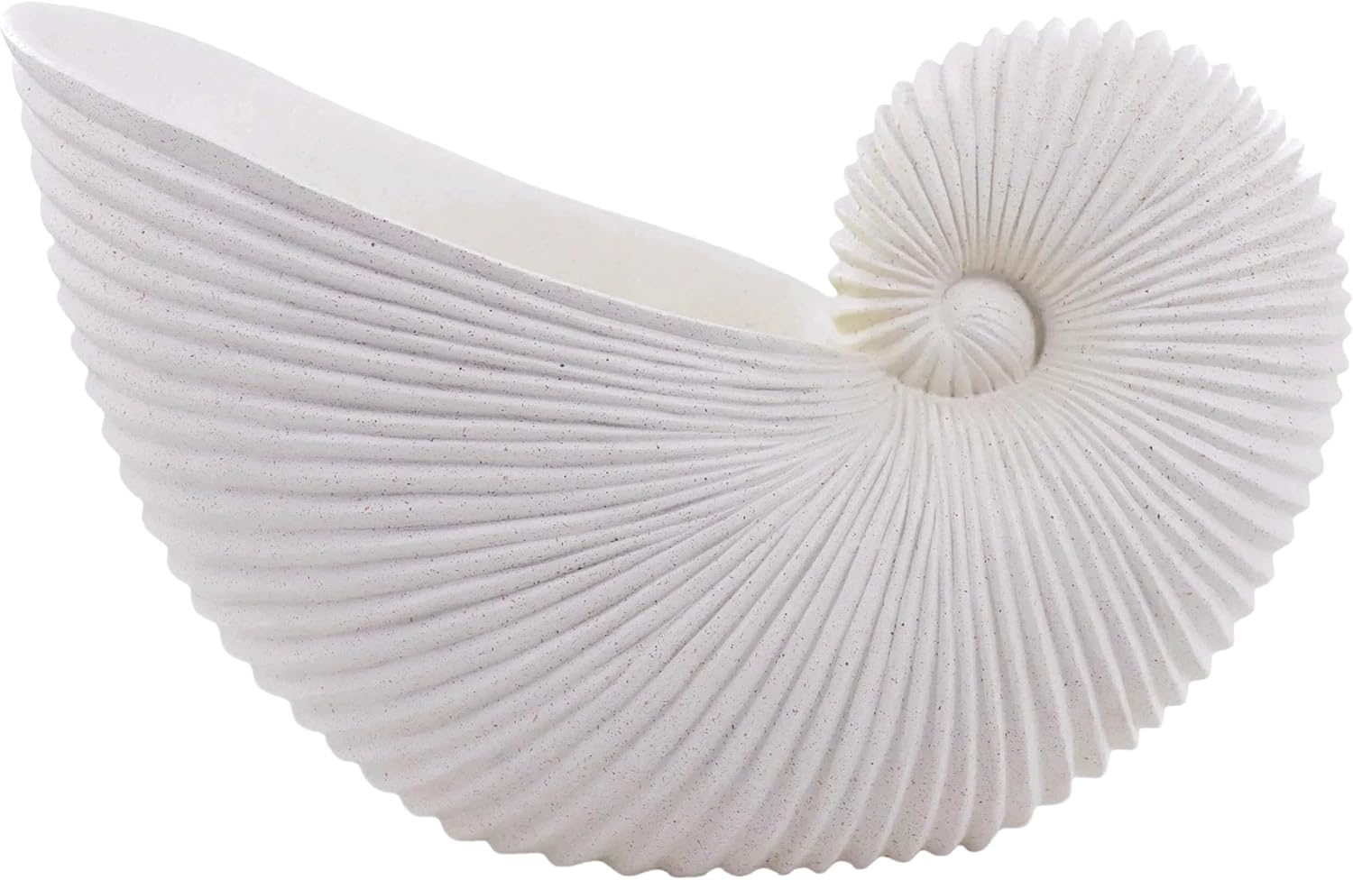 Dwelloria White Nautilus Shell Resin Sculpture - Coastal Nautical Statue for Modern Home Decor, Shelf Mantel Tabletop Accent