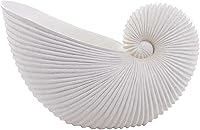 Dwelloria White Nautilus Shell Resin Sculpture - Coastal Nautical Statue for Modern Home Decor, Shelf Mantel Tabletop Accent