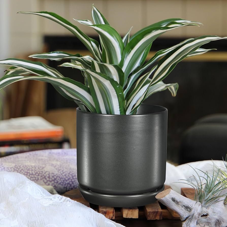 Amazon.co.jp: PLANTATOREM 植木鉢 おしゃれ 植木鉢 陶器 陶器鉢