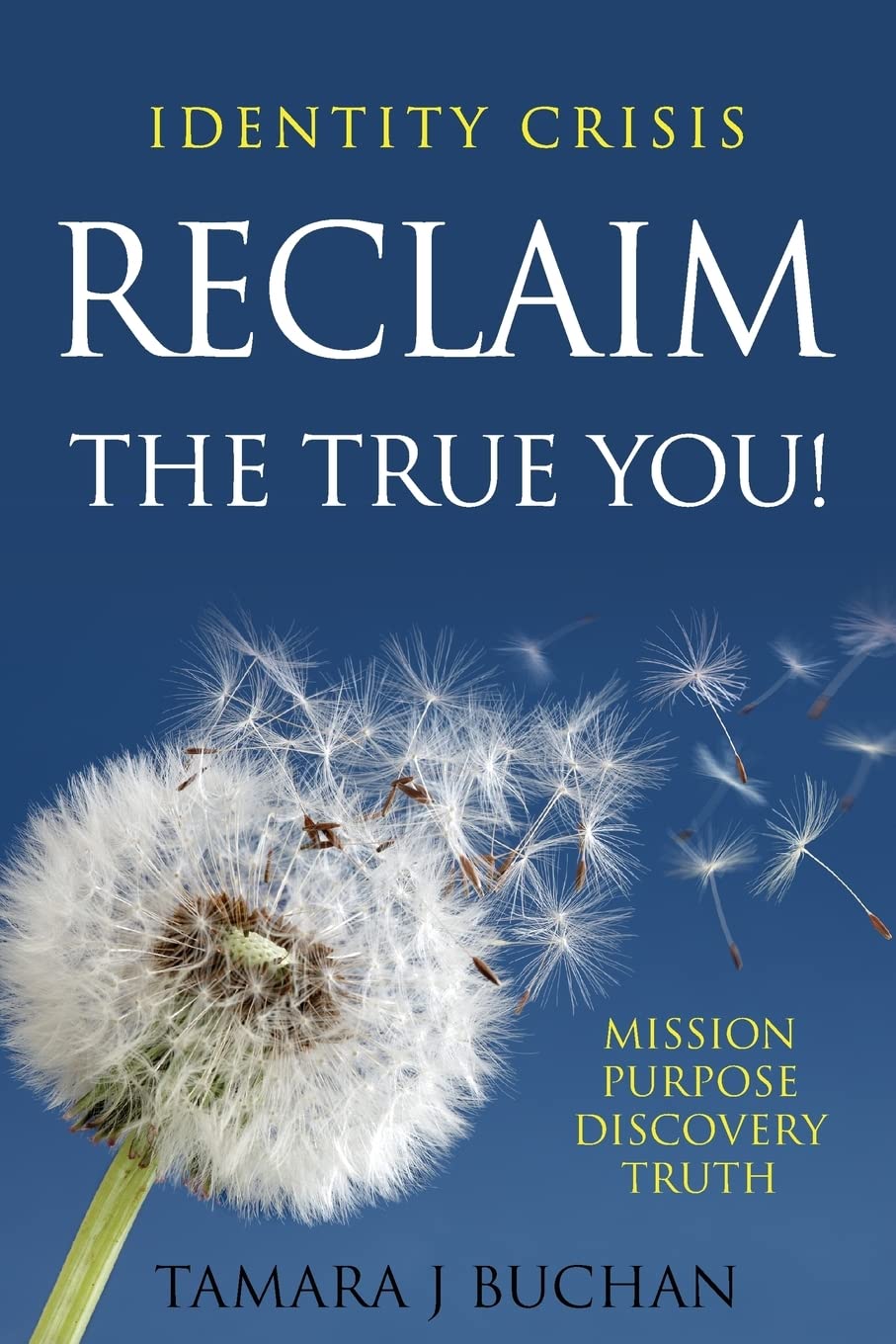 Identity Crisis: Reclaim the True You: 1