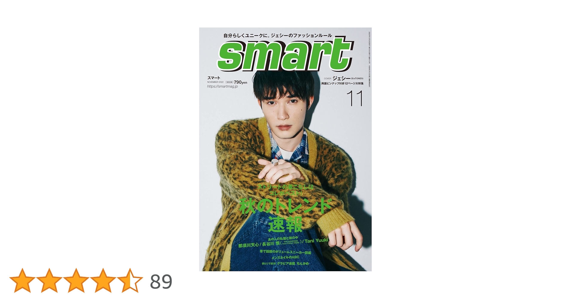 ジェシー Jr.時代 DVD、パンフレット等11点セット smart(スマート