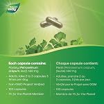 Nature's Way Parsley Leaf - Diuretic Support - 450mg Parsley leaf per capsule – Traditional Herbal Carminative & Spasmolytic Aid – Non GMO -100 Vegetarian Capsules