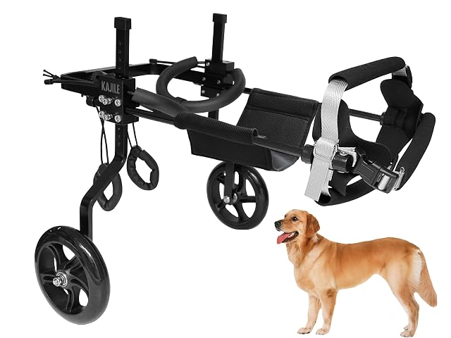 KAJILE Silla Ruedas Perros, Rehabilitación Patas Traseras,Negro,XL-2