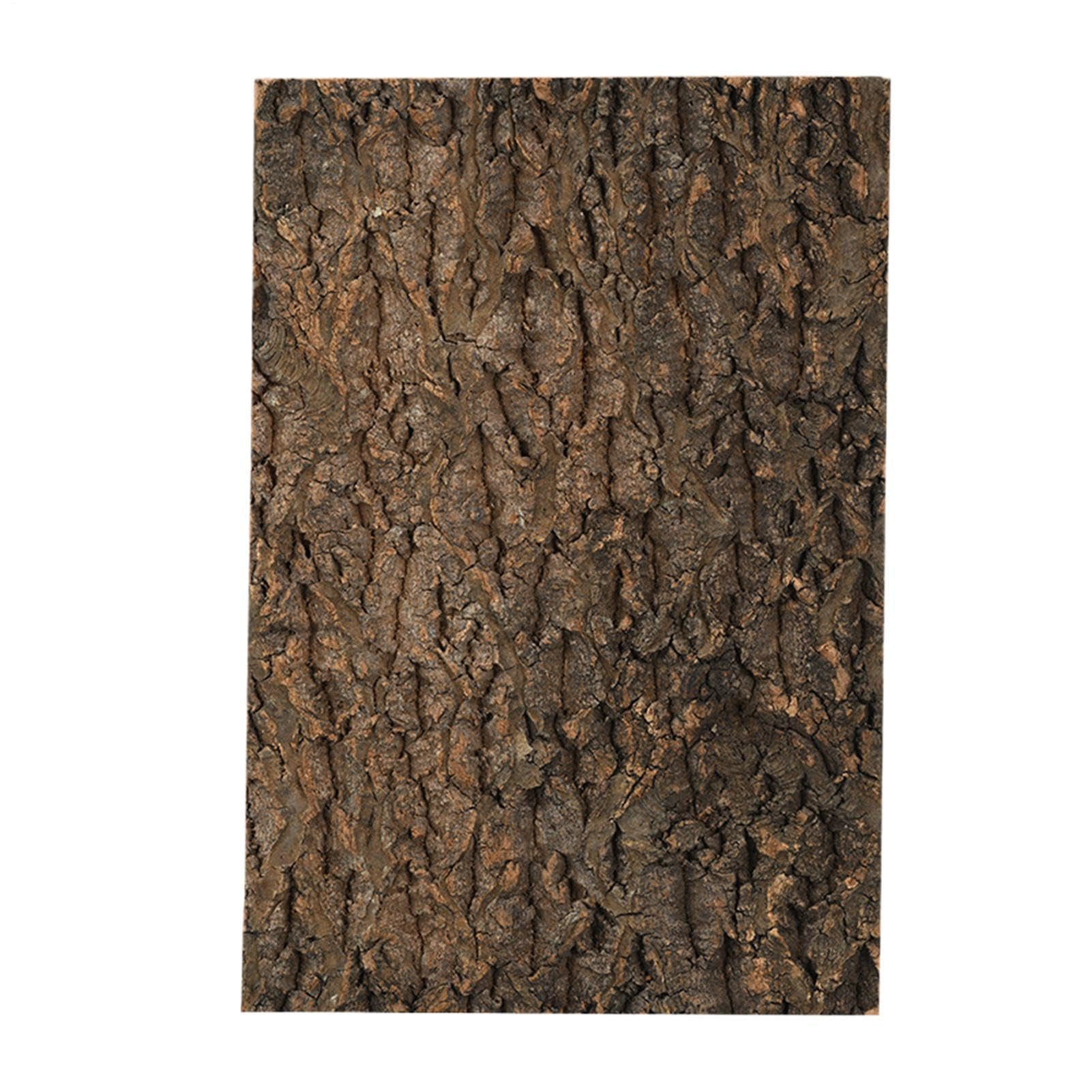 Écorce de pour reptiles et jouet d'escalade pour gecko et lézard
