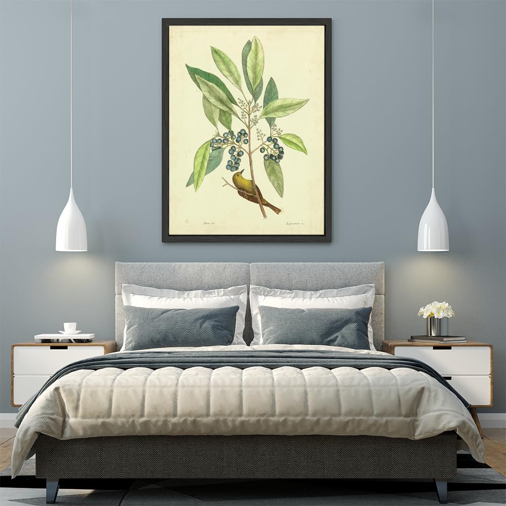 VERRE ART Printed Framed Canvas Painting for Home Decor Office Wall Studio Wall Living Room Decoration (45x60inch Black Floater) - Catesby Bird & Botanical V