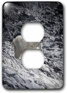 3dRose Mama mountain goat and kid find footing at Gloomy Knob,... - Light Switch Covers (lsp-380646-6)