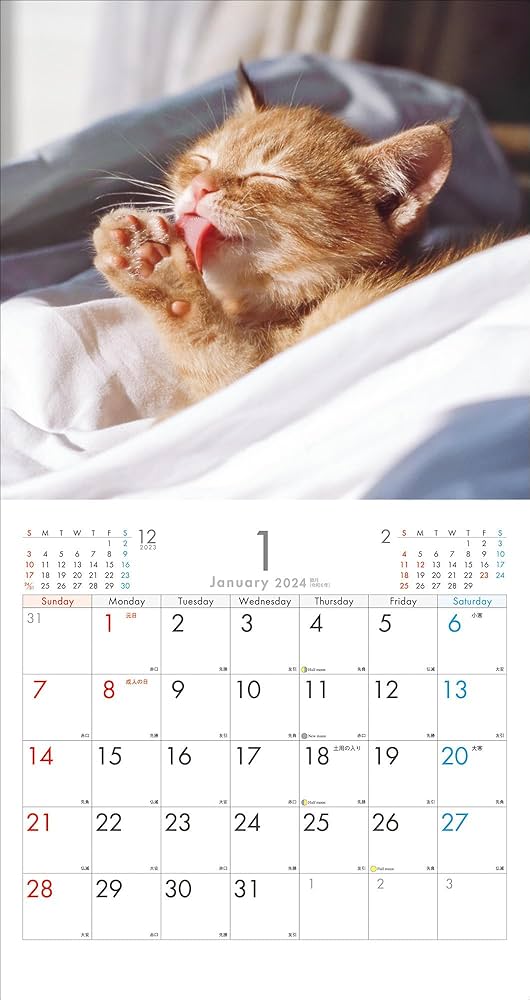 Amazon.co.jp: 2024 カレンダー こねこ （壁掛け／月めくり）猫 予定が