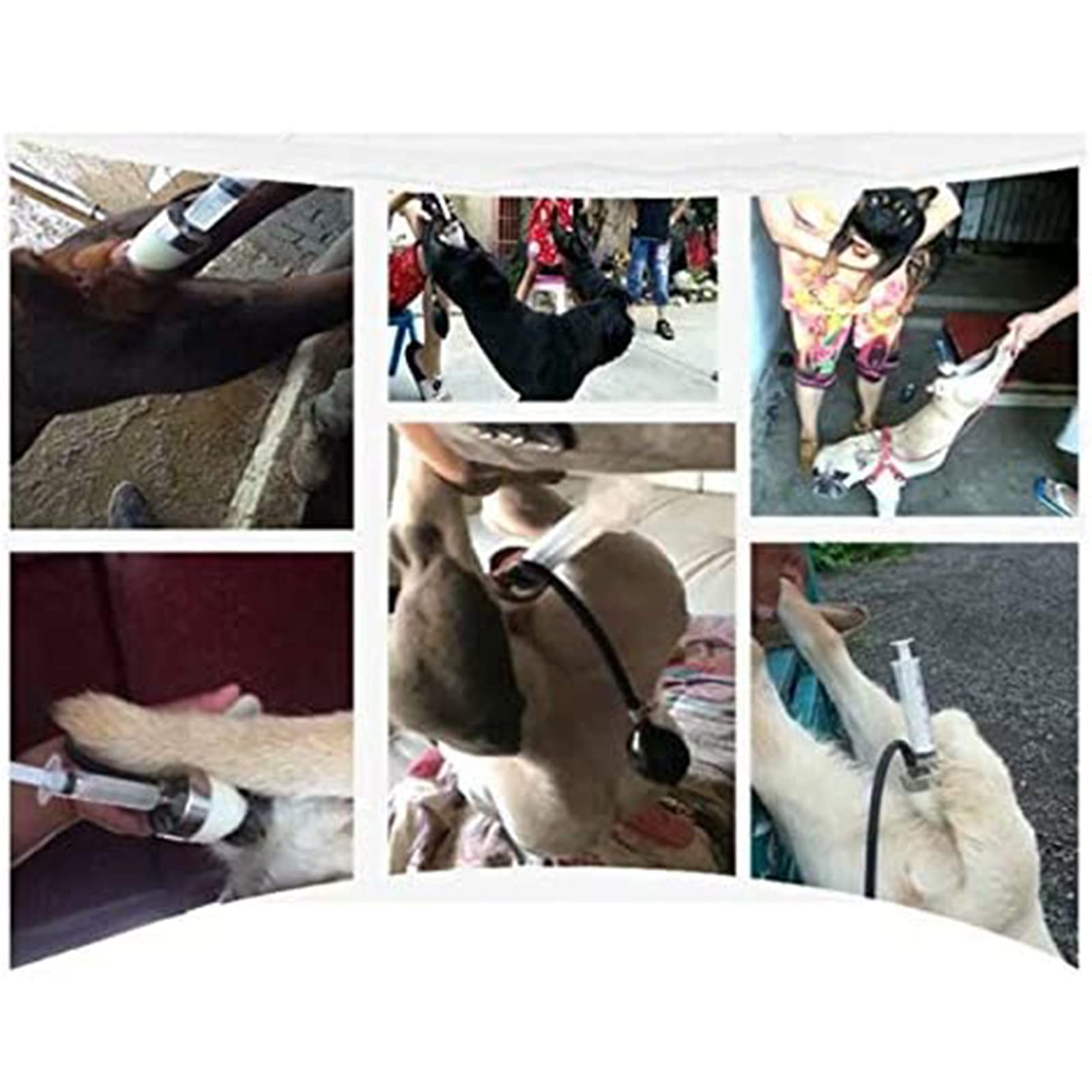 Amazon.co.jp: 犬 人工授精キット 小型、中型、大型犬用 20ml シリンジ