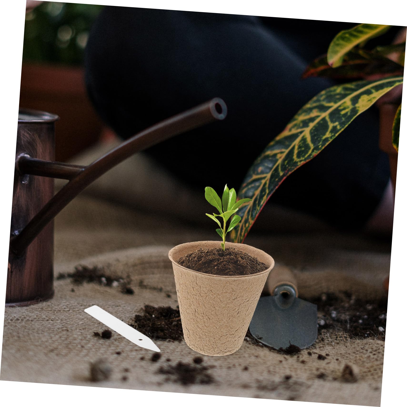 UPKOCH Kit 110 Vasi da Vivaio Biodegradabili in Polpa per Avviamento Piante, Vaso di Torba per Germinazione Piante Grasse e Ortaggi, Trapianto Diretto in Vaso, per Giardino e Balcone