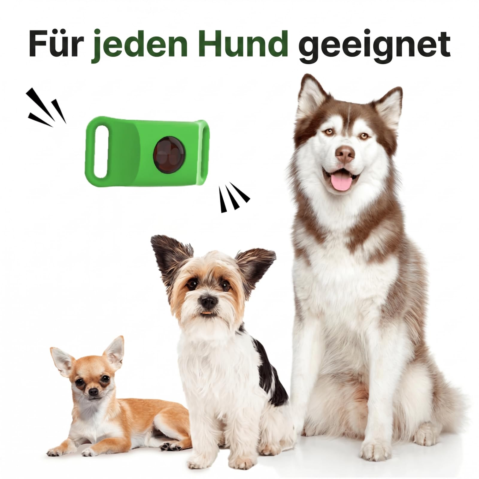 Fallschutz Gegen Zecken,Natürliches Floh und Zeckenhalsband für Hunde,Verstellbarer Parasitenschutz Anhänger mit ätherischen Ölen,2 austauschbaren Kapseln,hautschonend ohne Hautkontakt