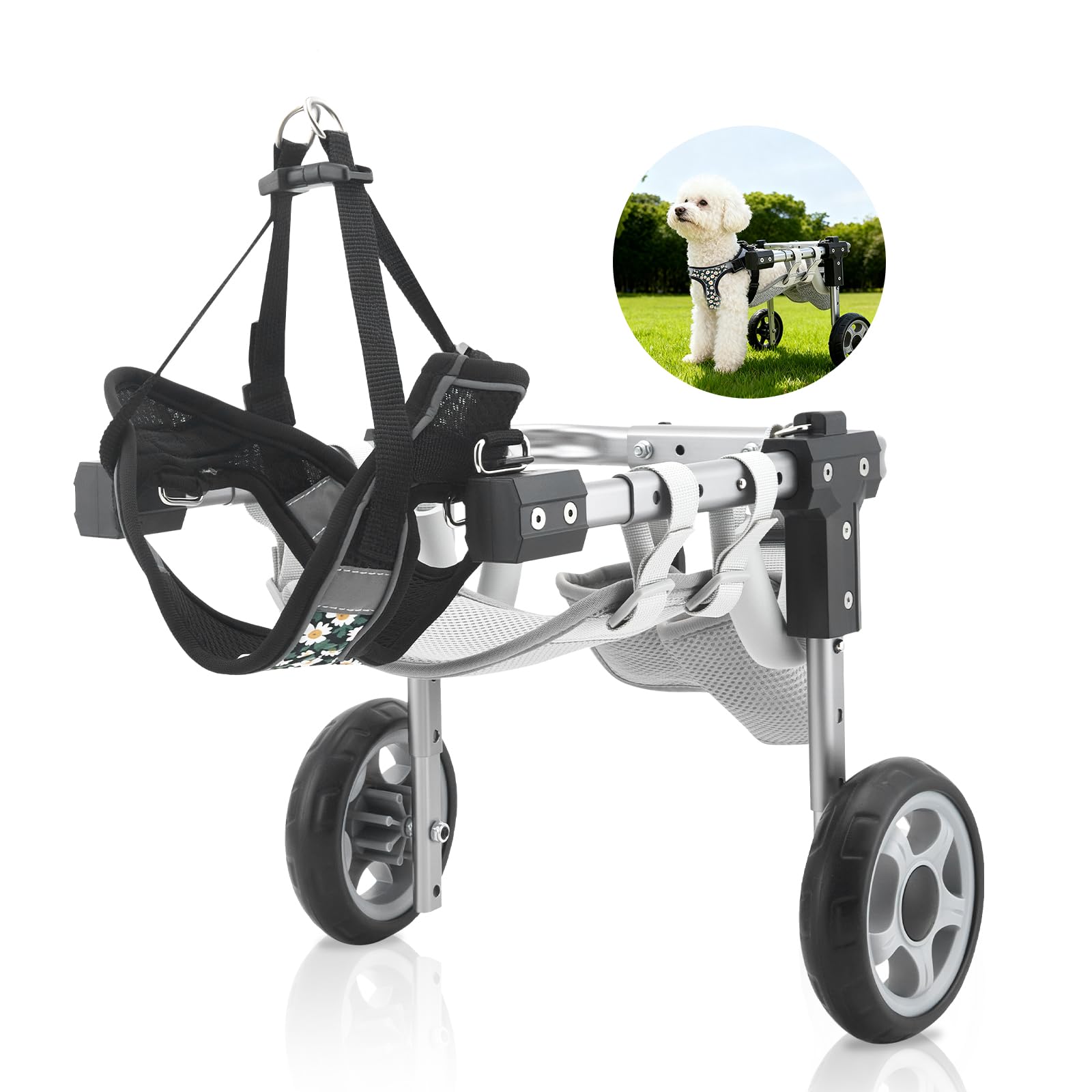 Sedia a rotelle per cani per gambe posteriori, carrello regolabile per riabilitazione a 2 ruote, in alluminio e rete di nylon, con custodia e corda per animali domestici paralizzati