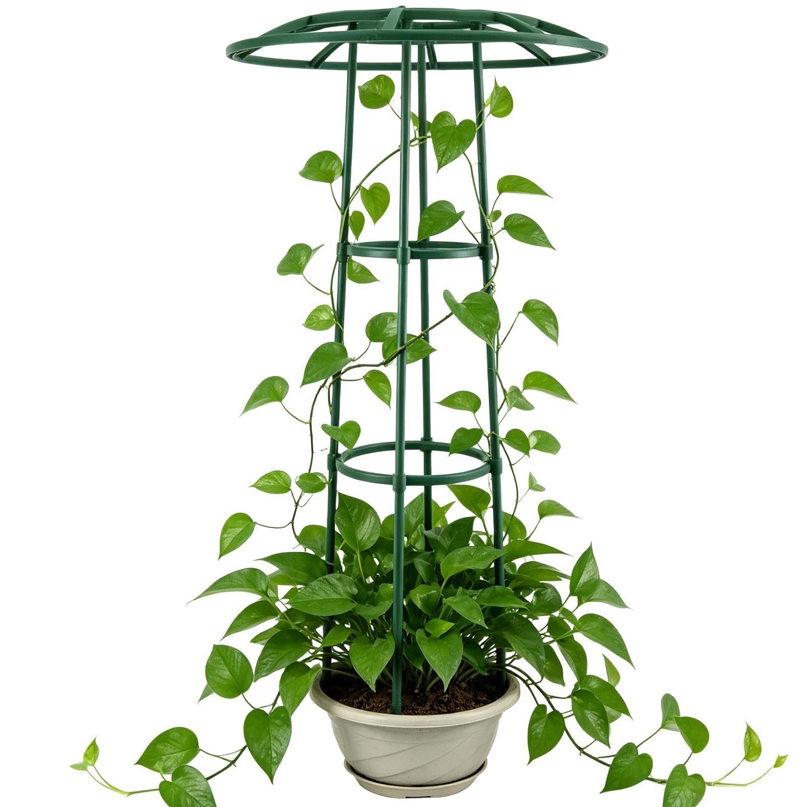 Soporte para plantas trepadoras tipo paraguas para jardin y huerto