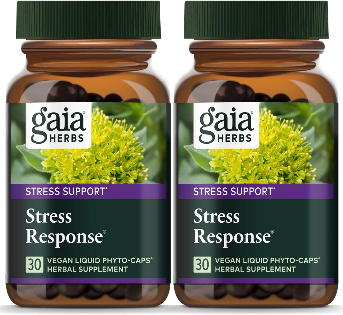 Gaia Herbs Stress Response, Vegan Liquid Capsules, 30 Count (Pack of 2) - Natural Stress Relief & Adrenal Fatigue Supplement, Calming Formula with Rhodiola, Ashwagandha, Holy Basil : Health & Household