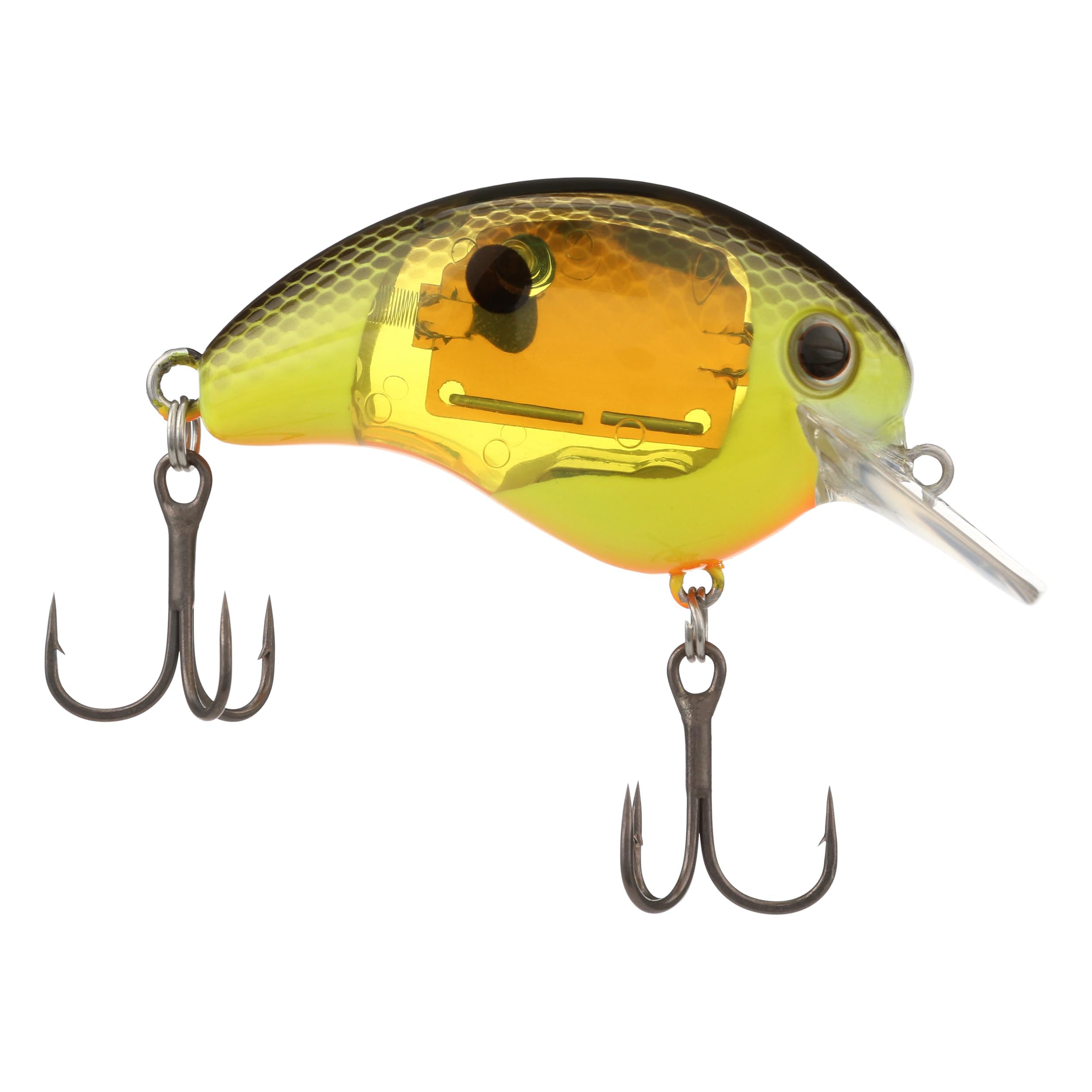 Amazon.com : SHIMANO Black Back Chart World Rush Flash Boost