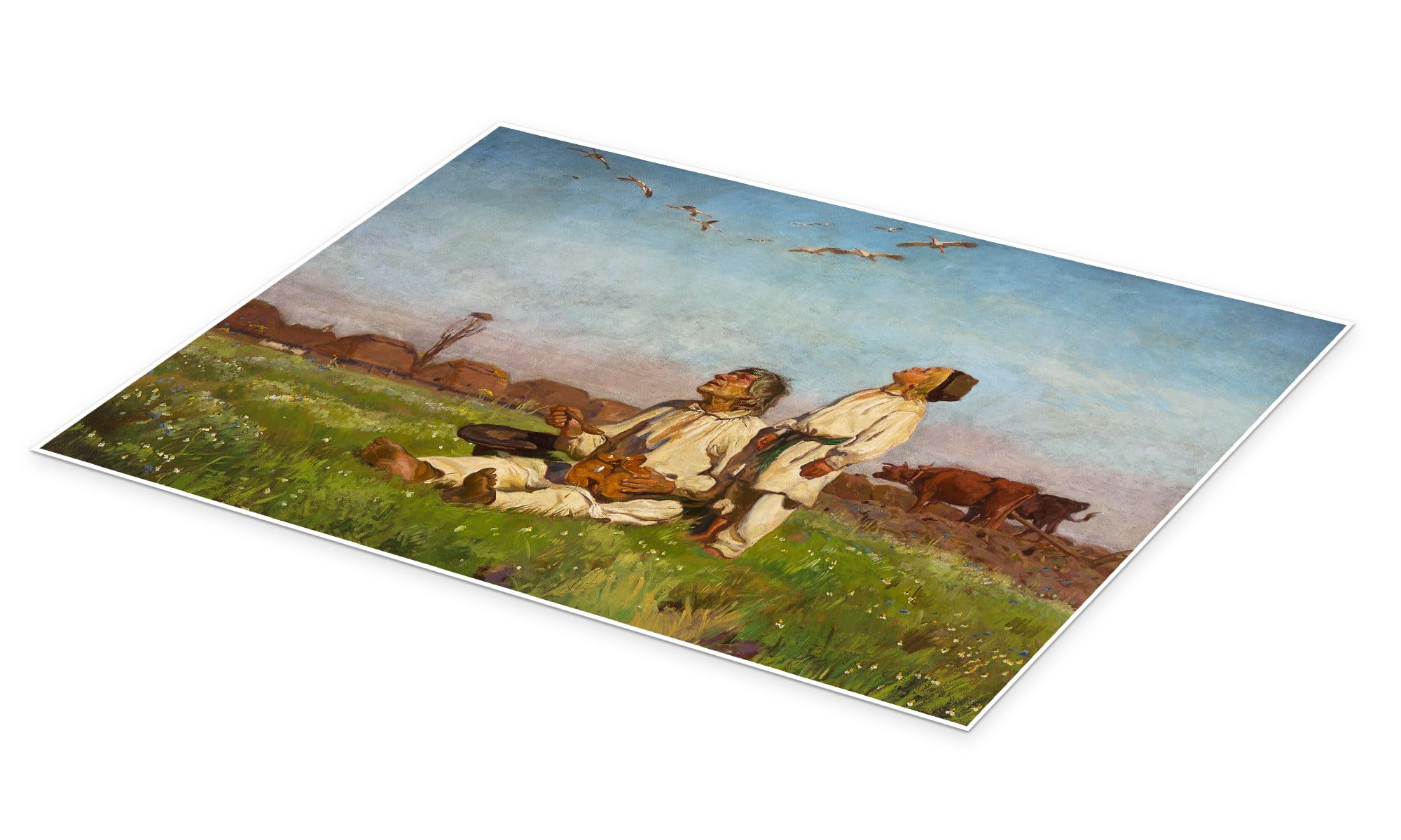 Bociany Plakat