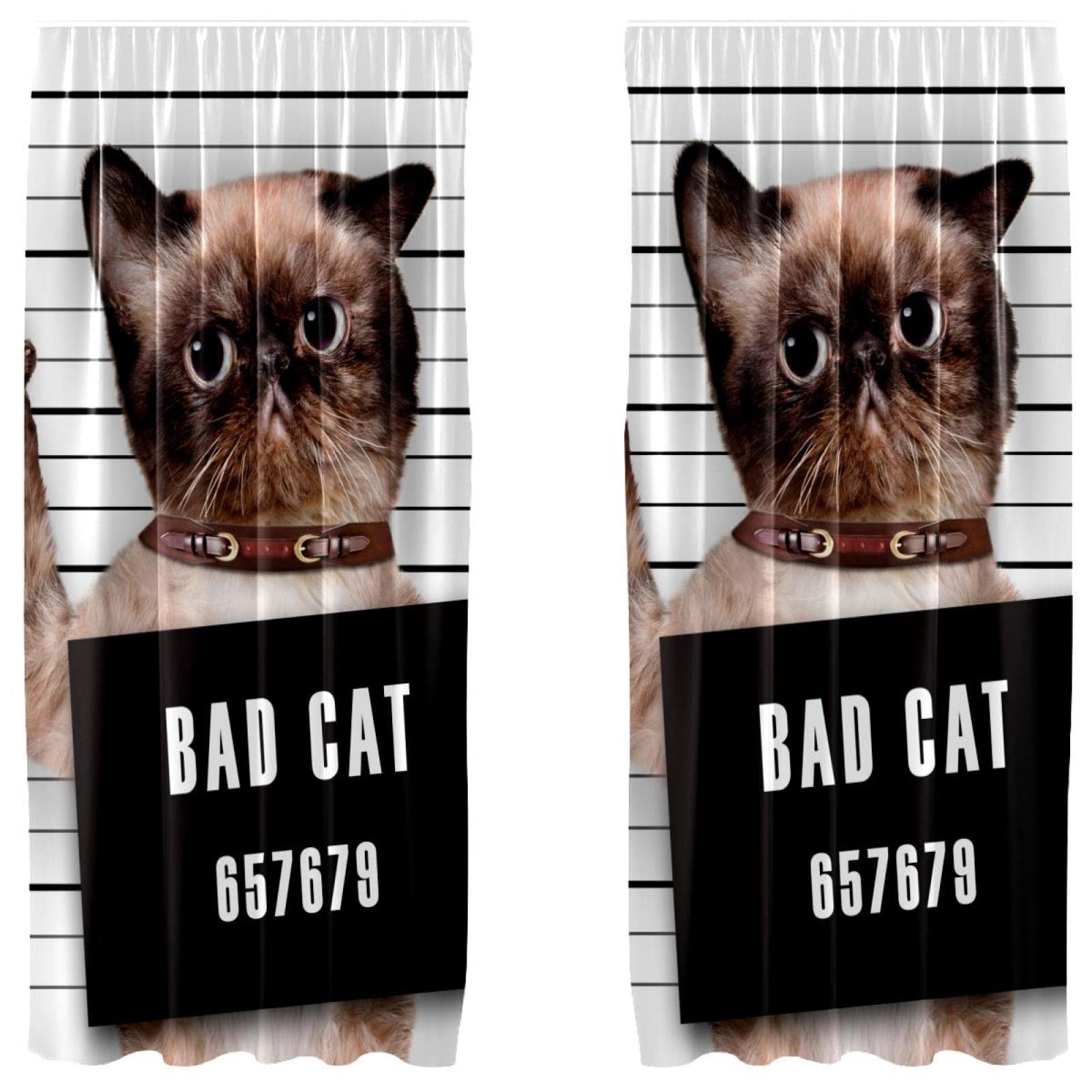 Cortinas decorativas Bad Cat para salones luminosos y modernos de 55 x 84 pulgadas