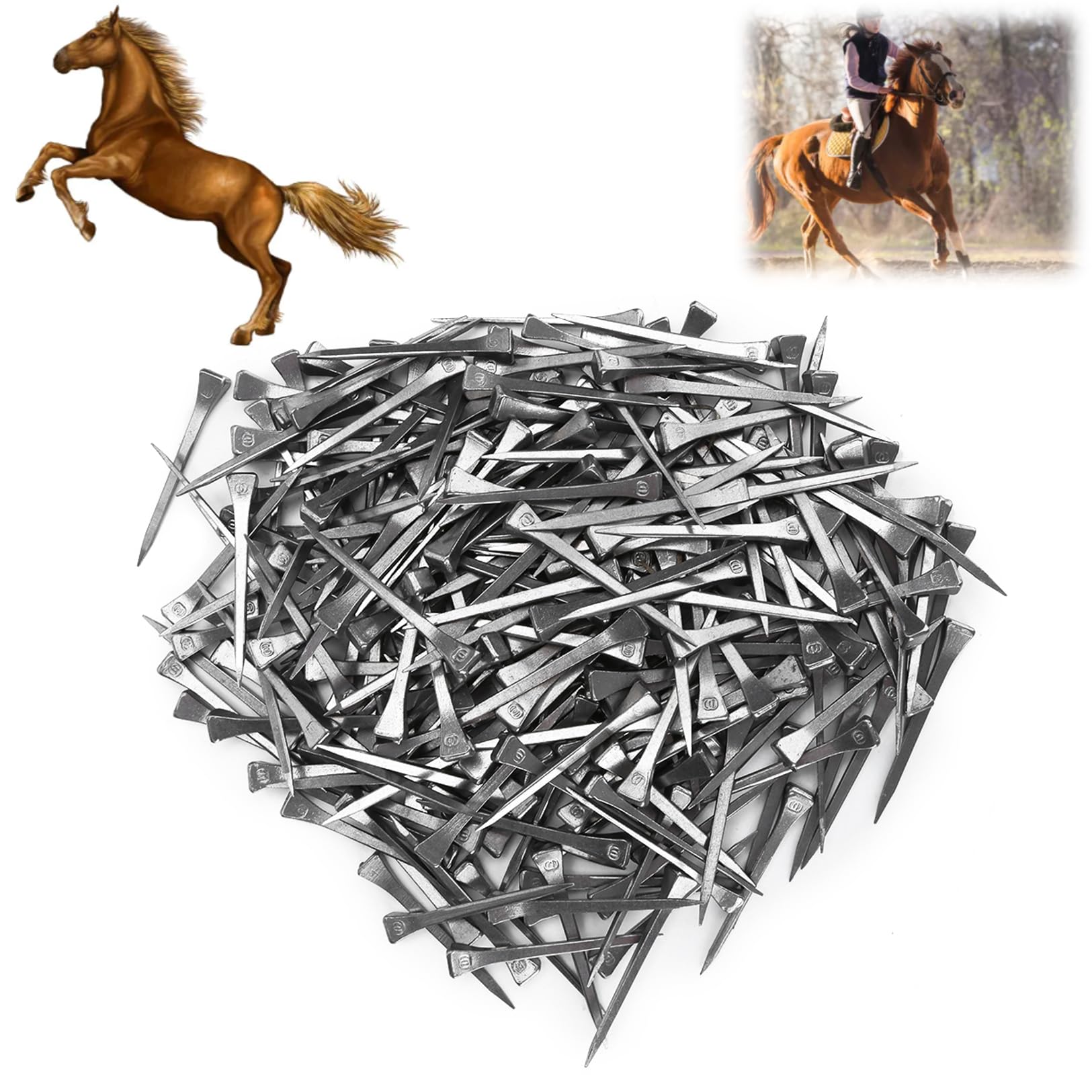 LenTLy Clavo para Pezuña de Caballo, 250 Piezas E6 Clavo de Herradura de Acero Clavo para Pezuña para Asegurar Firmemente Accesorio de Herramienta para Caballo