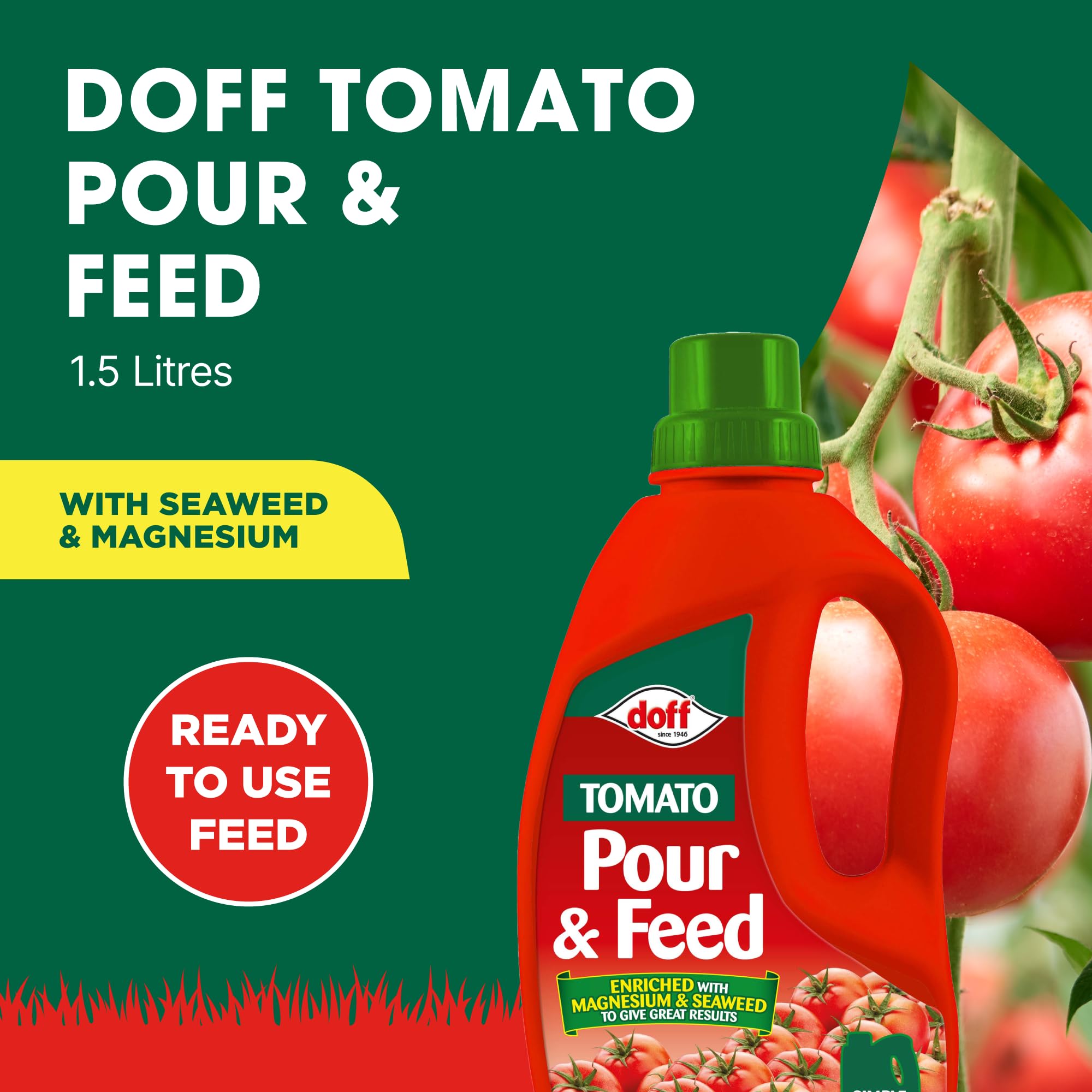 Doff Tomato Pour & Feed, 1.5L Fast-Acting Vegetable Plant Food for Healthy Growth of Tomatoes Vegetables & Flowers - Image 2