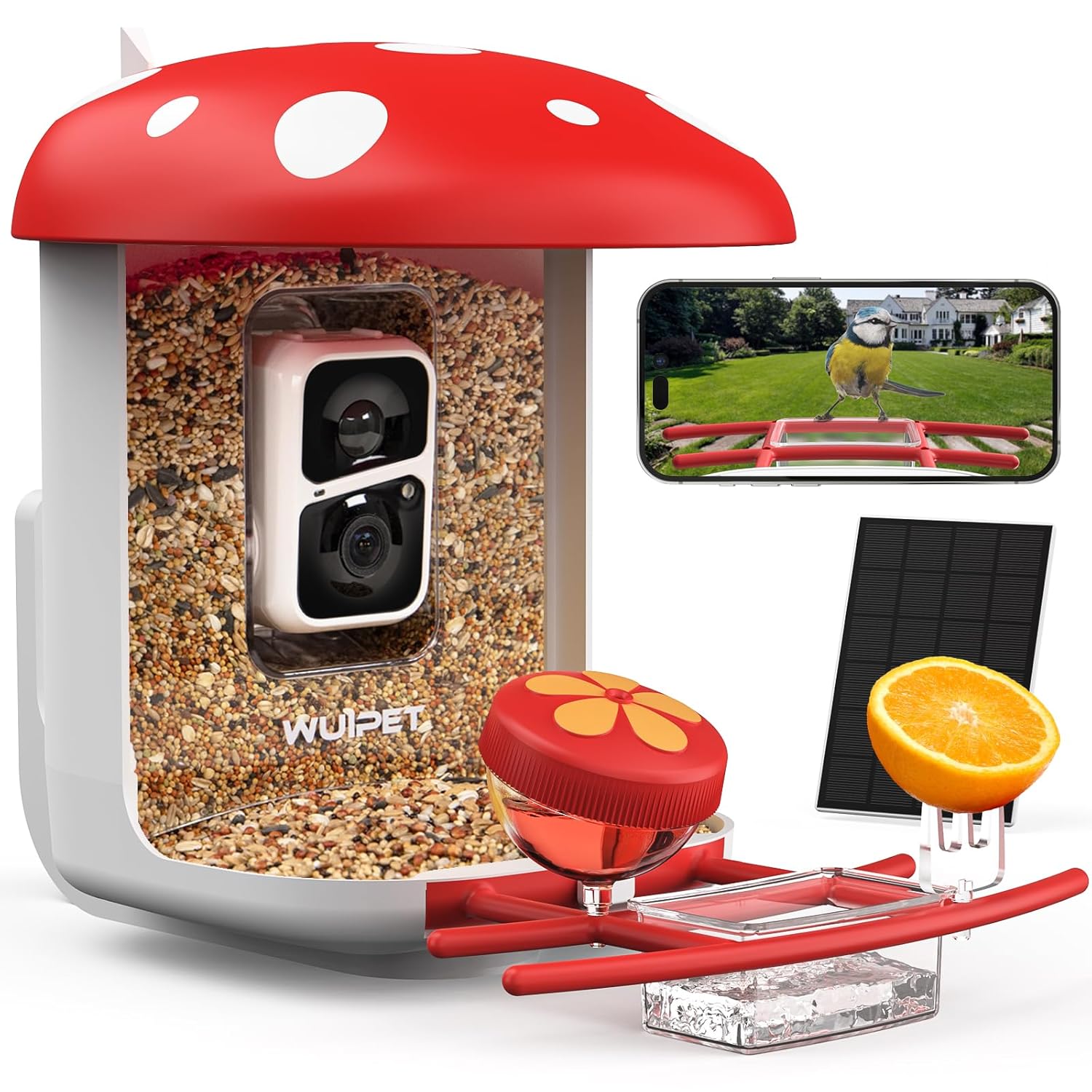 WUIPET Smart Bird Feeder Camera with solar panel and smartphone showing live feed.