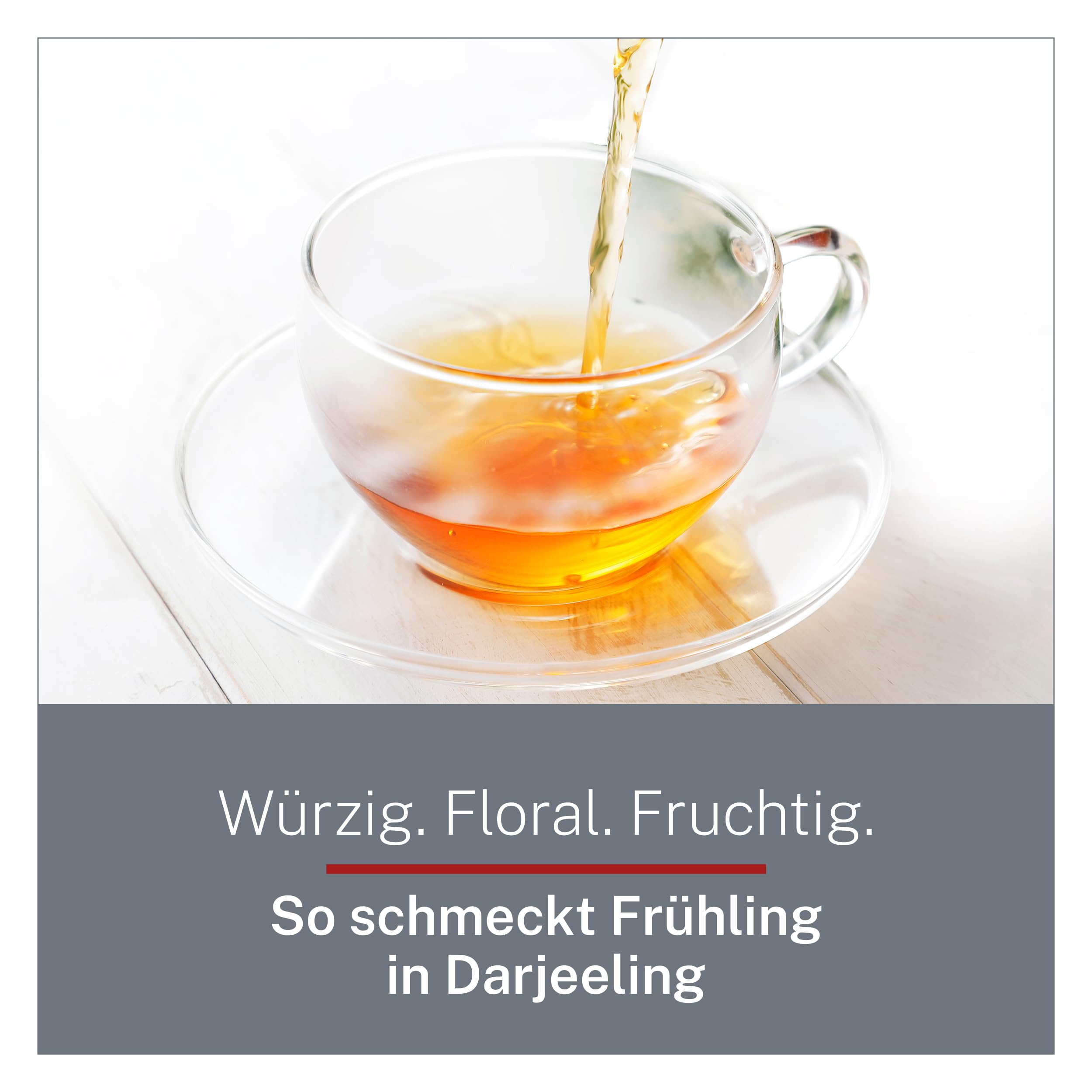 Darjeeling First Flush Bio Tee 1 kg lose - Hochwertiger Schwarztee - würzig & fruchtig - Schwarzer Tee Lose aus ökologischem und fairem Anbau – MyCupOfTea