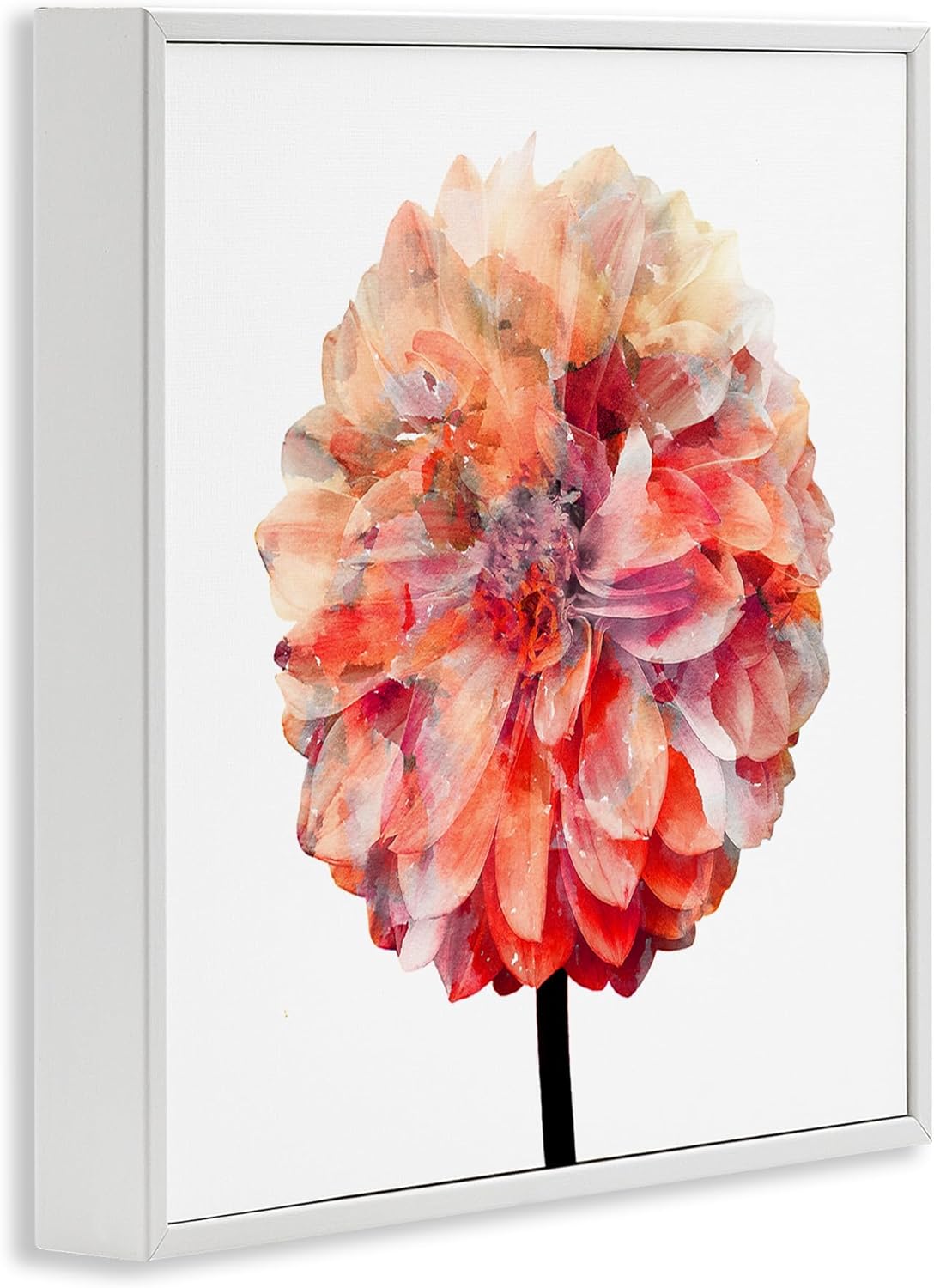 Stupell Industries Bright Coral Watercolor Bloom Dahlia Flower, Design by Kimberly Allen White Framed Wall Art, 24 x 24, Pink