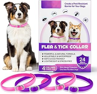Zeckenhalsband für Hunde 4 Stück, Zecken-Flohschutz Halsband für Hunde, Verstellbar Flohhalsband für Hunde 60 cm, 24 Monate wirksamer Schutz gegen Zecken Und Flöhen | Wasserfest product image