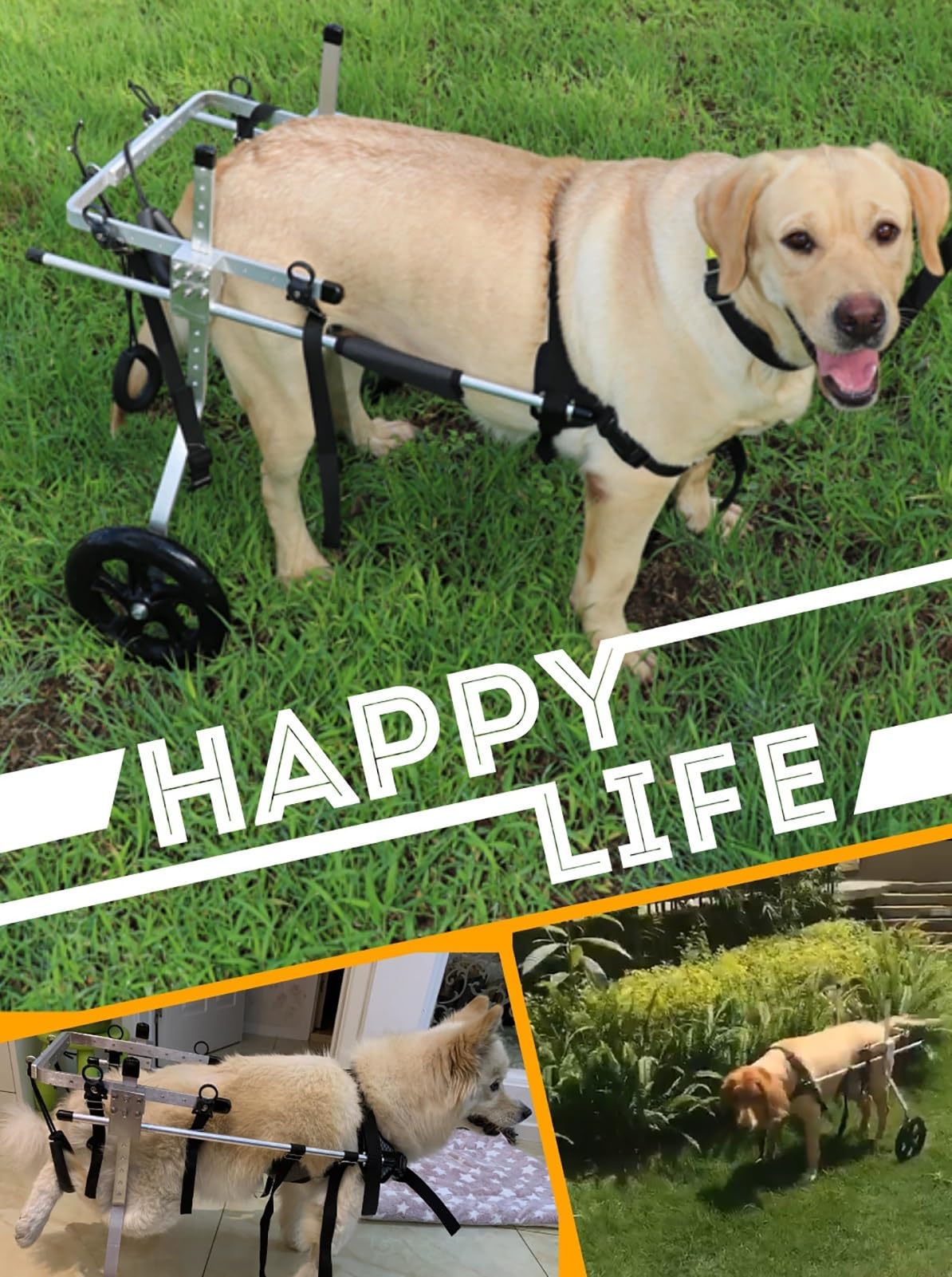 Amazon.co.jp: 大型犬用車椅子、麻痺した後足用、幅広のハーネスと