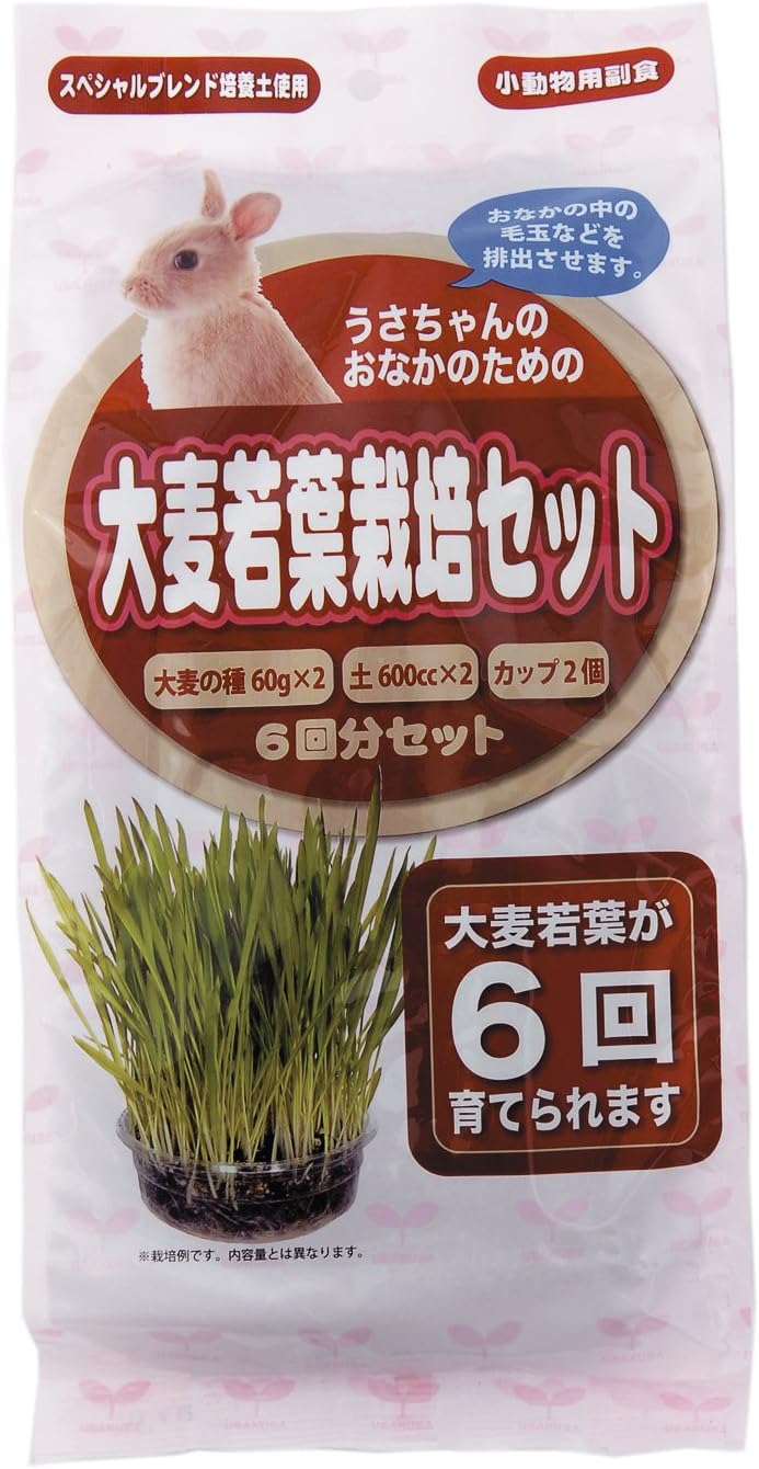 Amazon アラタ うさちゃん用大麦若葉栽培セット6回分 アラタ 底砂 床材 通販