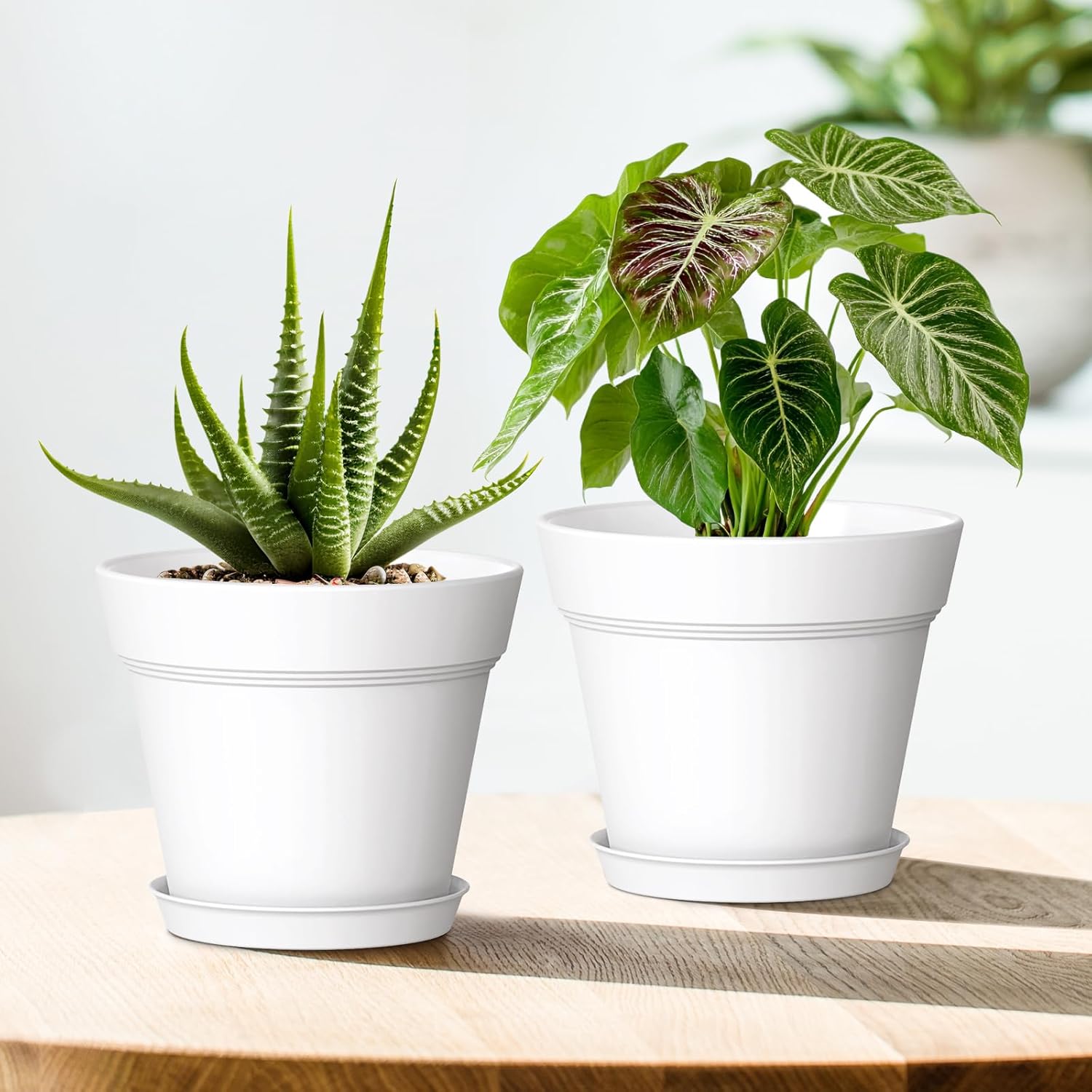 WSMKSZ 7 Inch Thick Plastic Plant Pots with Drainage Holes and Trays – 6 Pack Nursery Pots for Indoor & Outdoor House Plants, Seedling Starter Planters for Garden Flowers, White