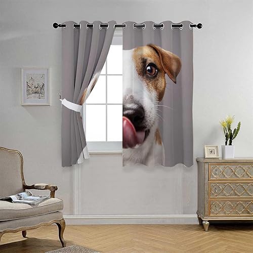 Miniatura 3 de Cortina opaca con ojales para perro, cortina corta para puerta, cortinas para Ventanas de Cuarto 63 pulgadas de ancho por 80 pulgadas de largo, 2