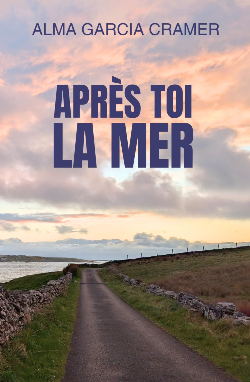 Après toi, la mer: Un roman contemporain mêlant passion, fragilité et liens familiaux.