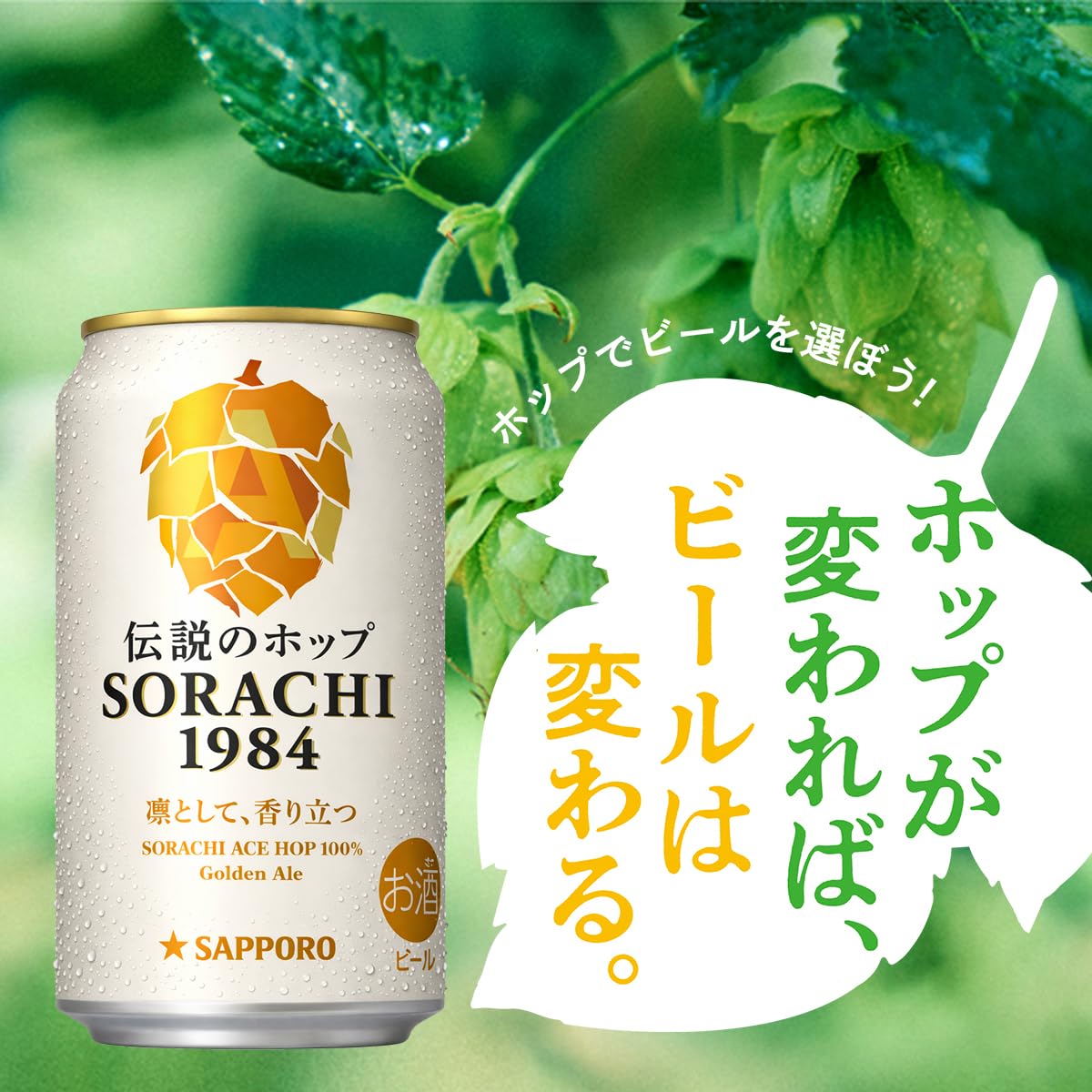 soraichi さん専用 SORACHI(ソラチ) SORACHI1984 日本 350ml×12本