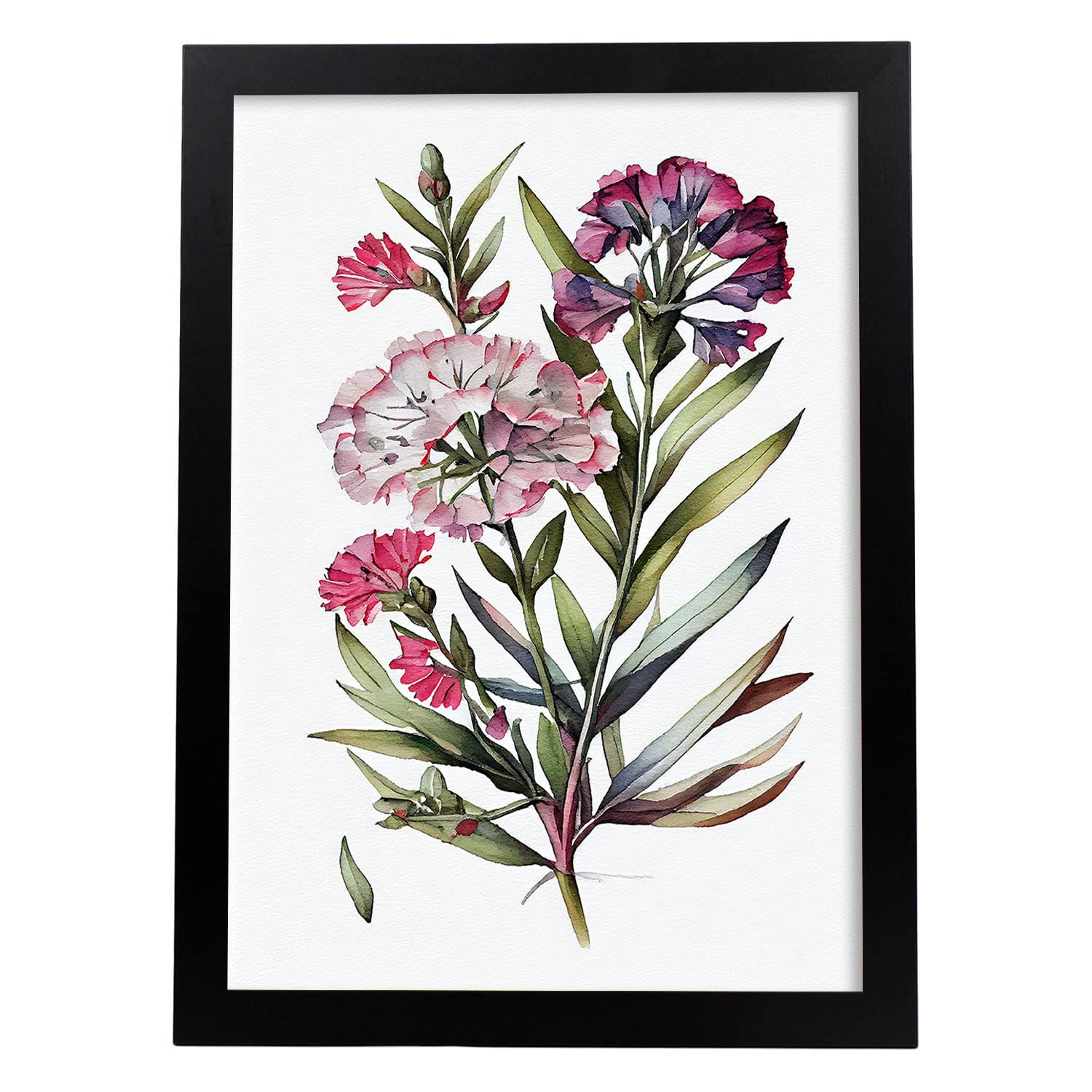 Nacnic Sweet William 2 Sweet William Poster In Watercolor Style Flower Plant Botanical Illustration White Background Wall Art Prints For Interior Design And Decoration. Model 2, Size A4