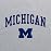 UGP Campus Apparel AL03 - Michigan Wolverines Arch Logo Long Sleeve T Shirt - X-Large - Sport Grey