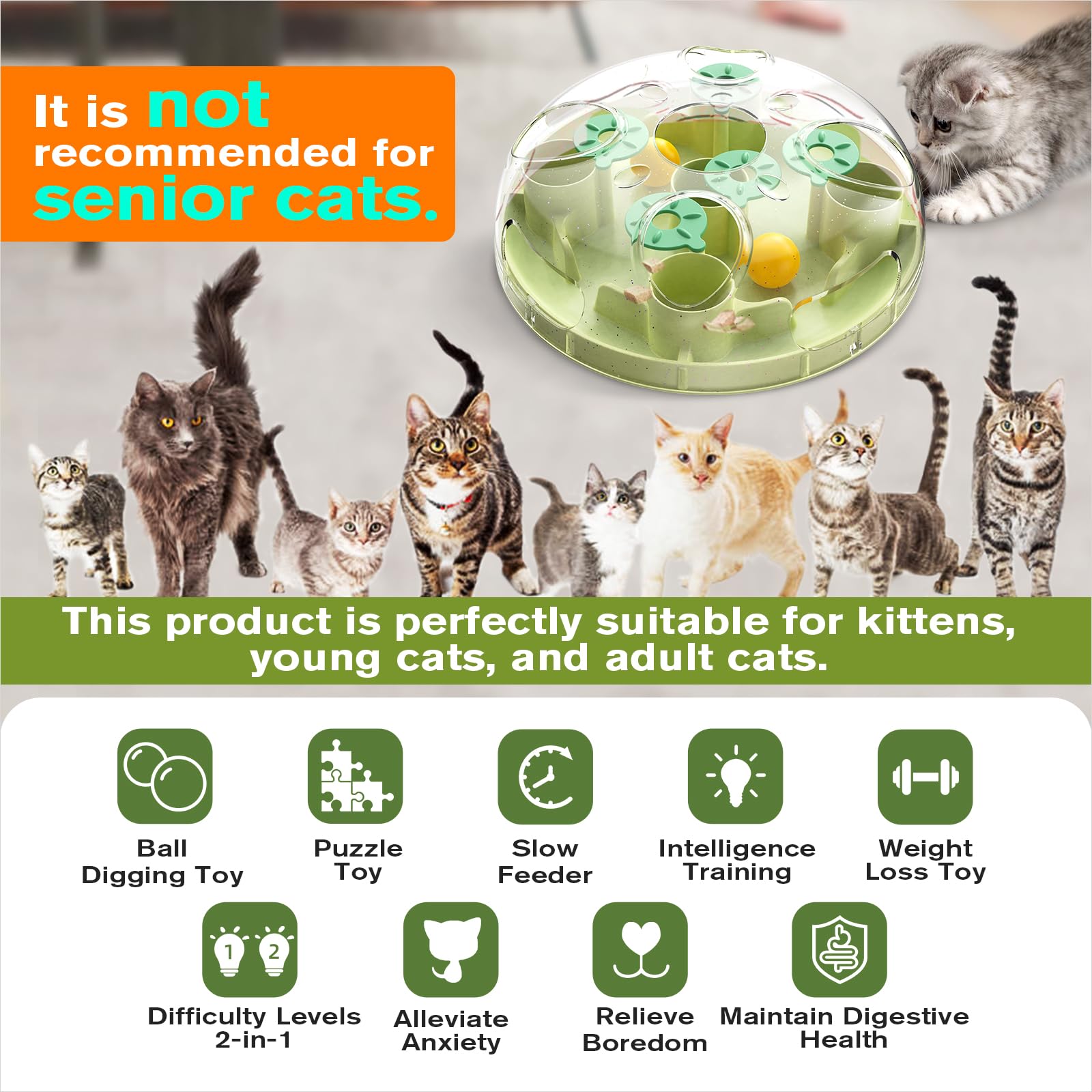 Kitten Cat Puzzle Feeder Toys All For Paws Interactive Cat Puzzle