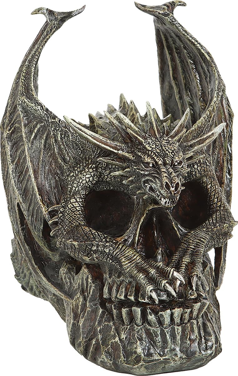 Spiral - Draco Skull - Desk Top Sculpture