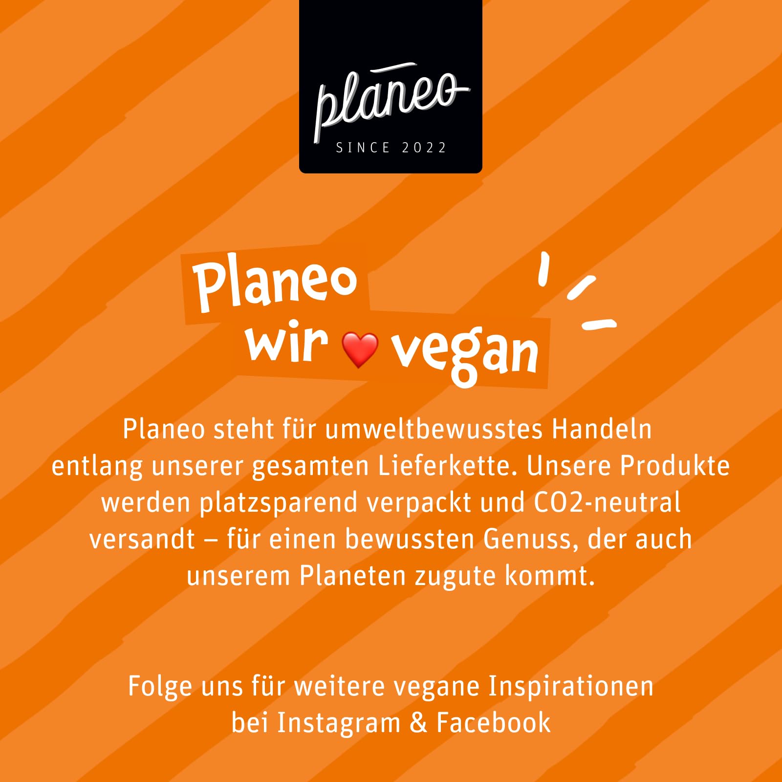 Planeo Tempeh Marninert 6x200g - Beste Qualität - Lange, ungekühlt haltbar - fein gewürzt - Soja aus der EU - Planeo (6 x 200g)