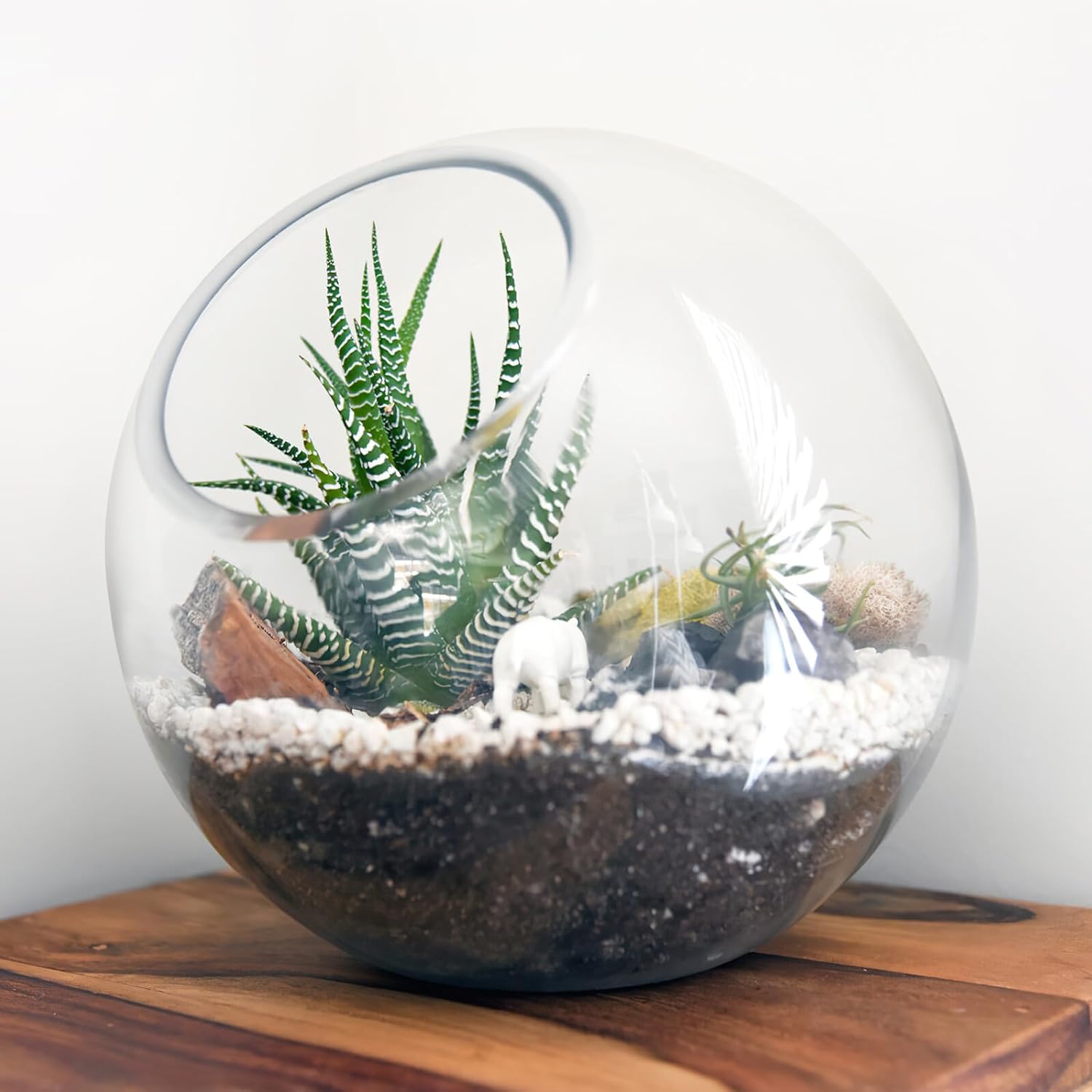 COLLBATH 3 Pcs Air Plant Planter Globe Terrarium Centerpiece Air Plant Pot Fern Plant Terrarium Succulent Orbs Clear Bowl Succulent Planter Hydroponics Flower Pot Stand Glass