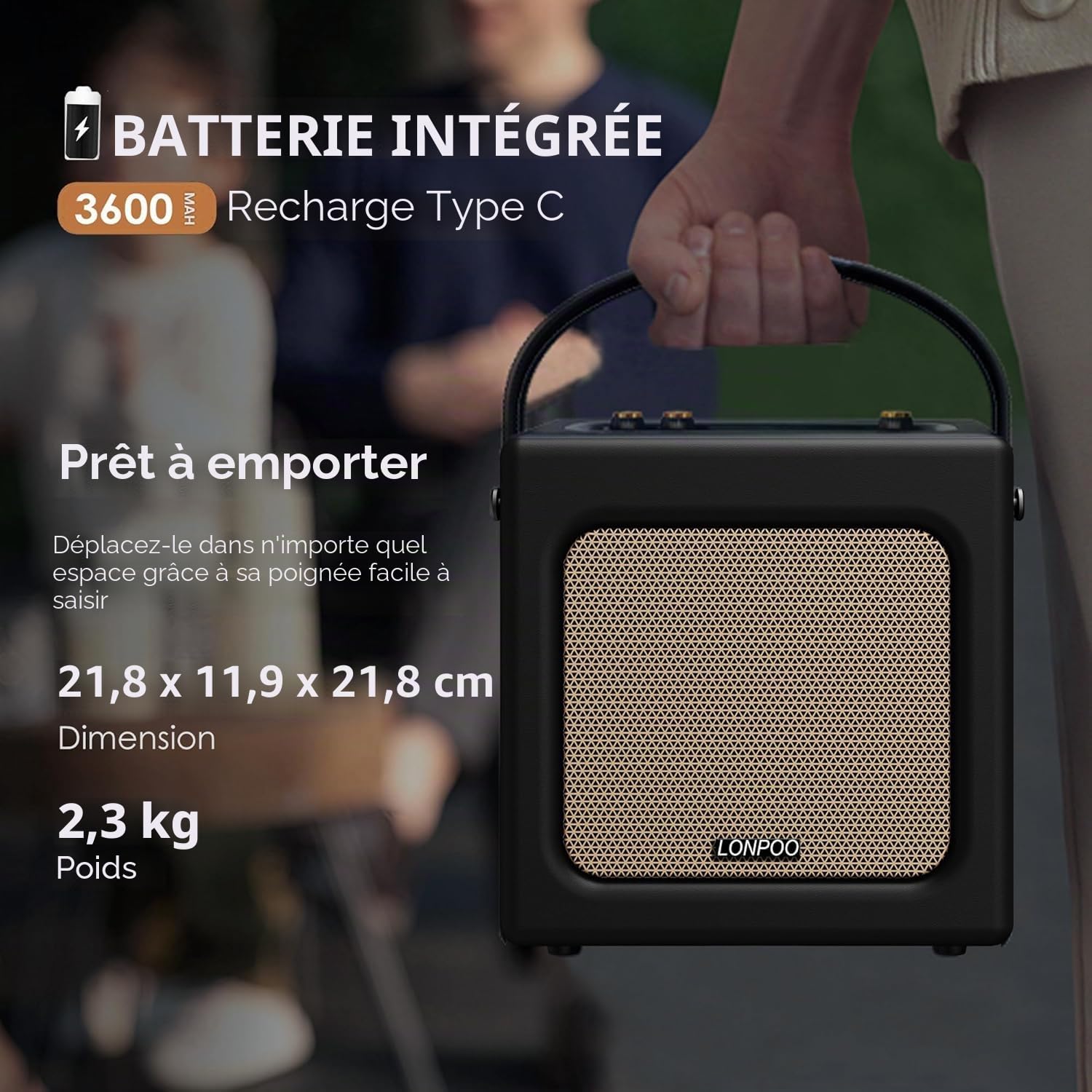 LONPOO Enceinte Bluetooth rétro Aspect Cuir avec Batterie, 20 W, Lecteur USB, entrée auxiliaire, Prise Microphone 6,5 mm, Charge de Type C, Micro Chaîne HiFi stéréo