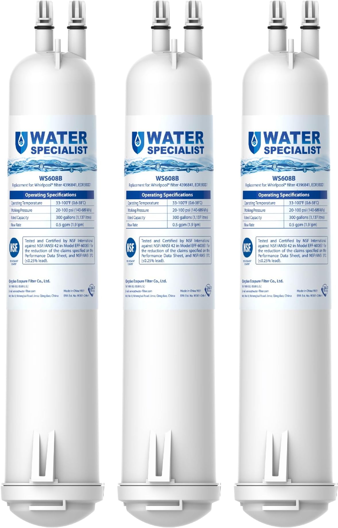 Waterspecialist WS608 Water Filter, Replacement for