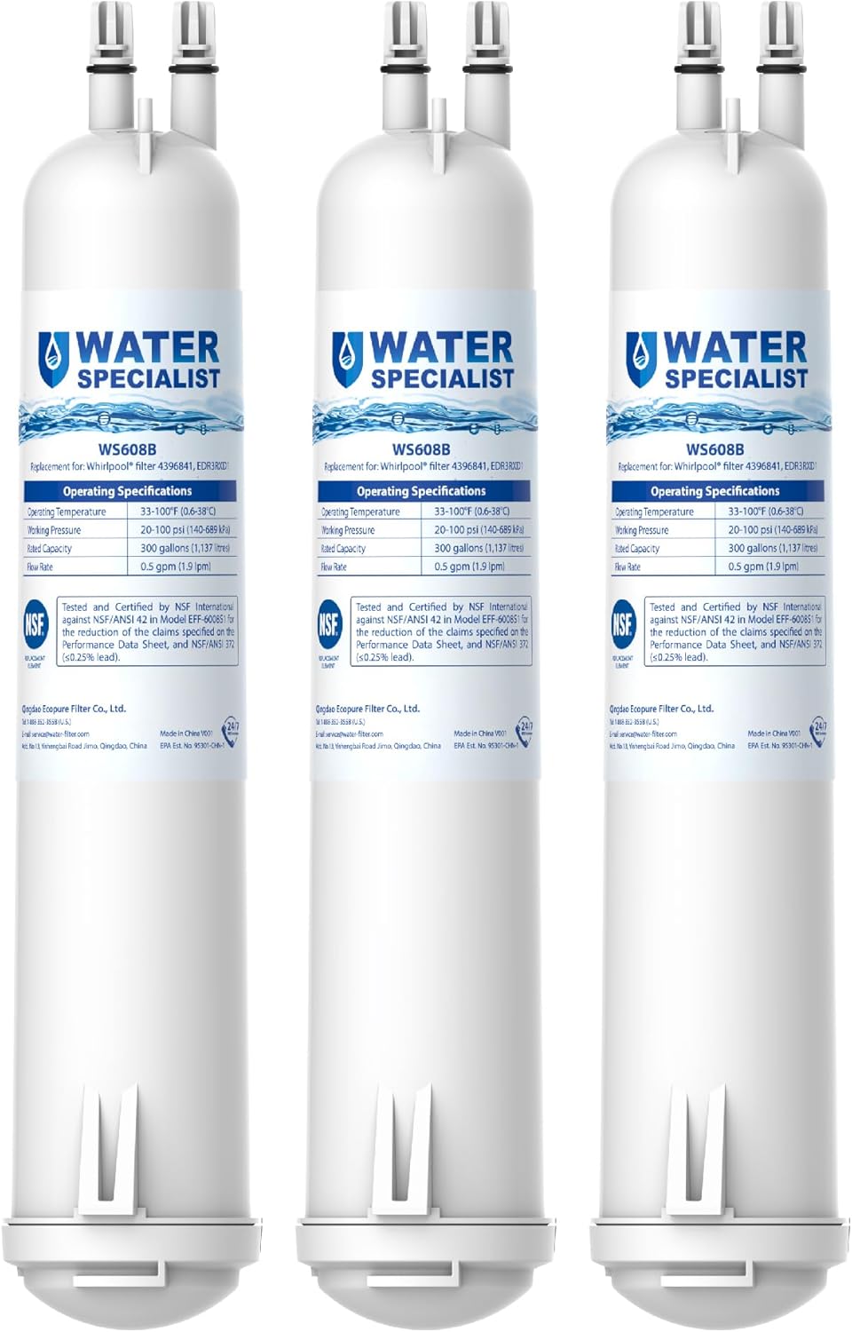 Waterspecialist WS608 Water Filter, Replacement for