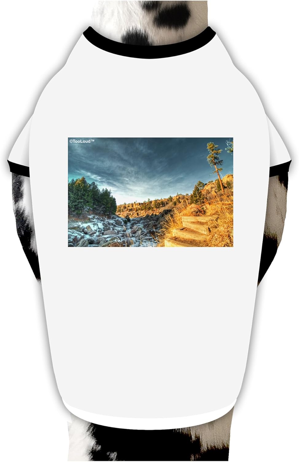 TOOLOUD Castlewood Canyon Dog Shirt White with Black XL