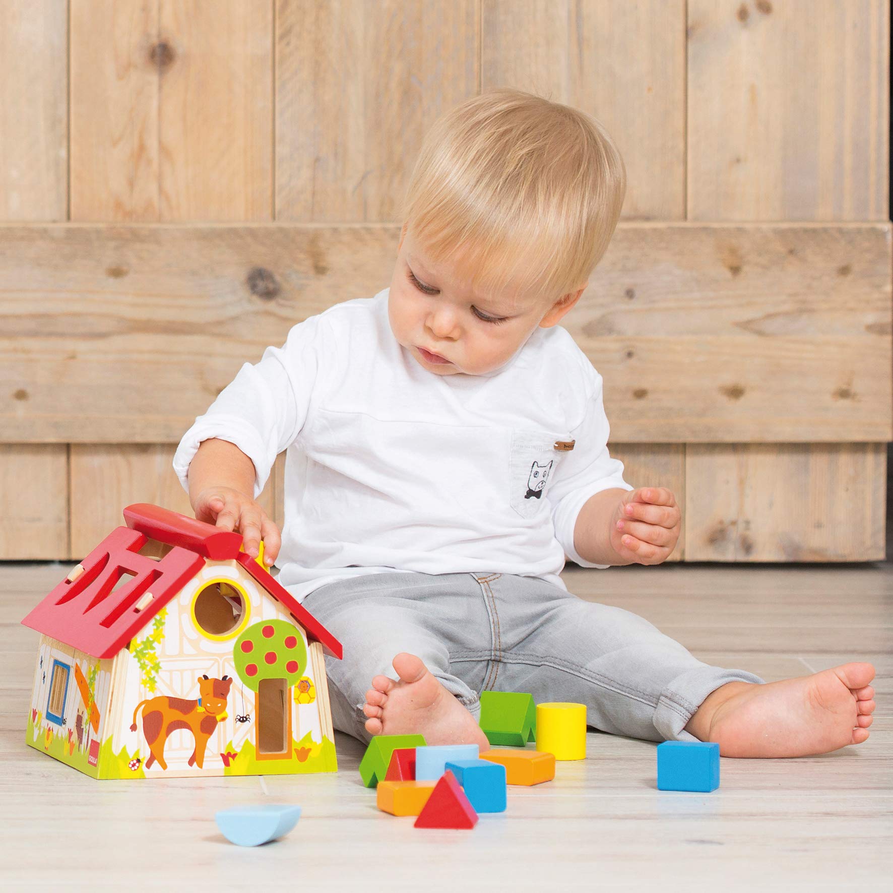 Amazon.com: Goula Wooden Farm Shape Sorting Box: Toys & Games