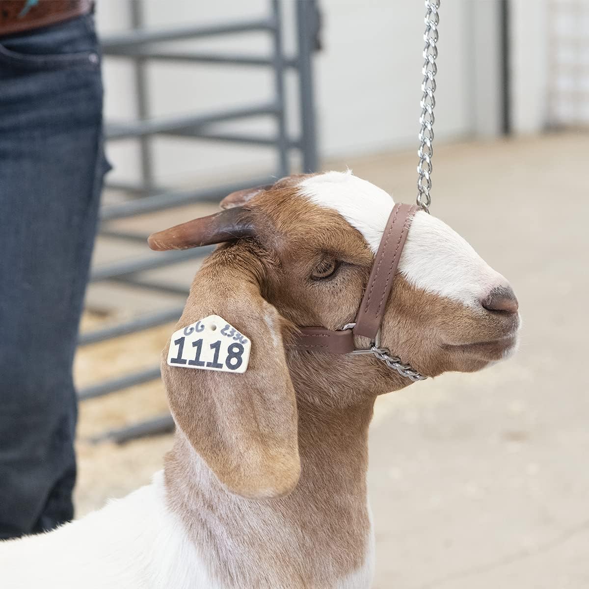 Weaver Leather Livestock Brahma Webb Goat Halter, Brown, Small